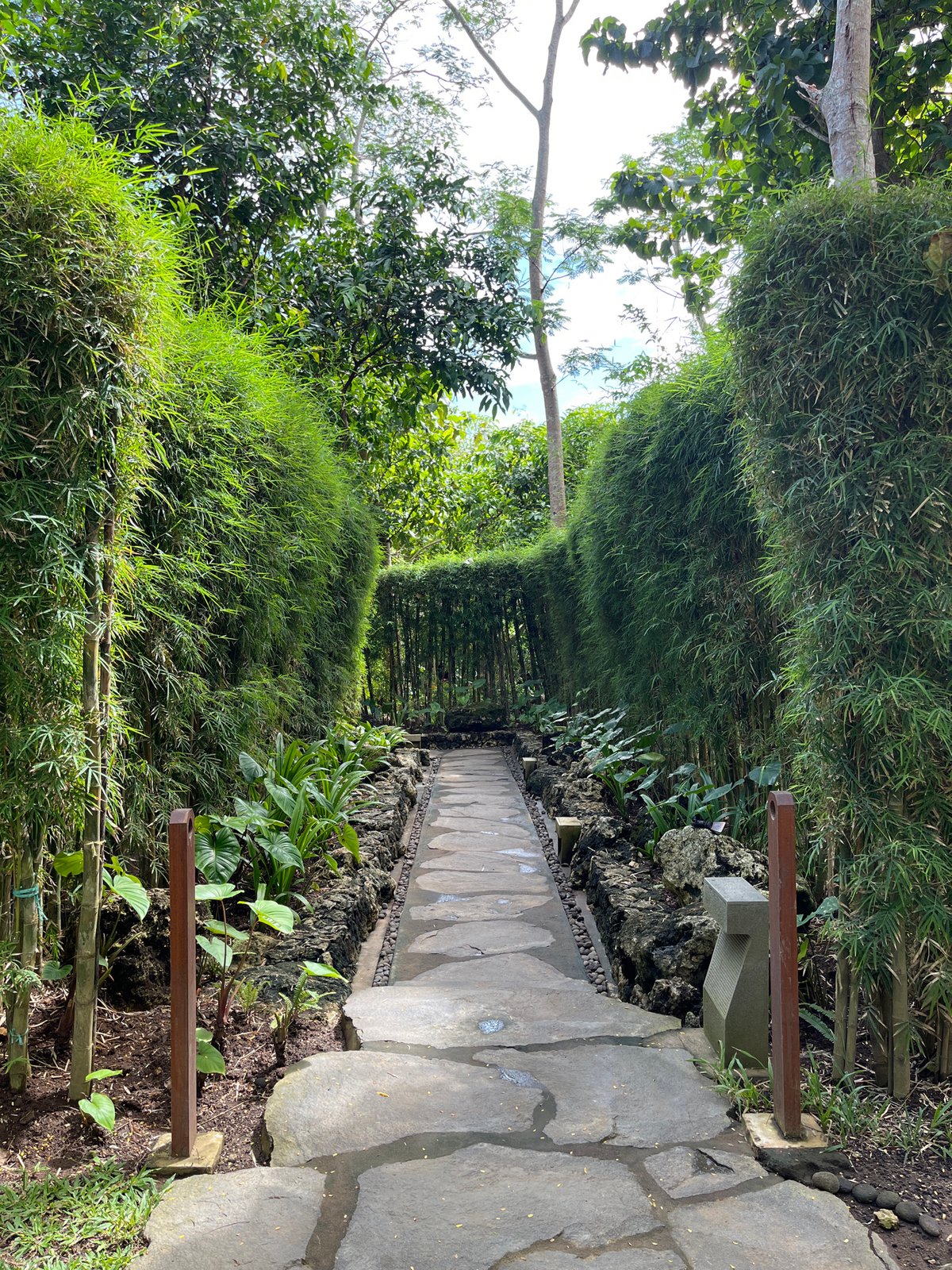 Morning stroll documented at Tevana Garden in Bali