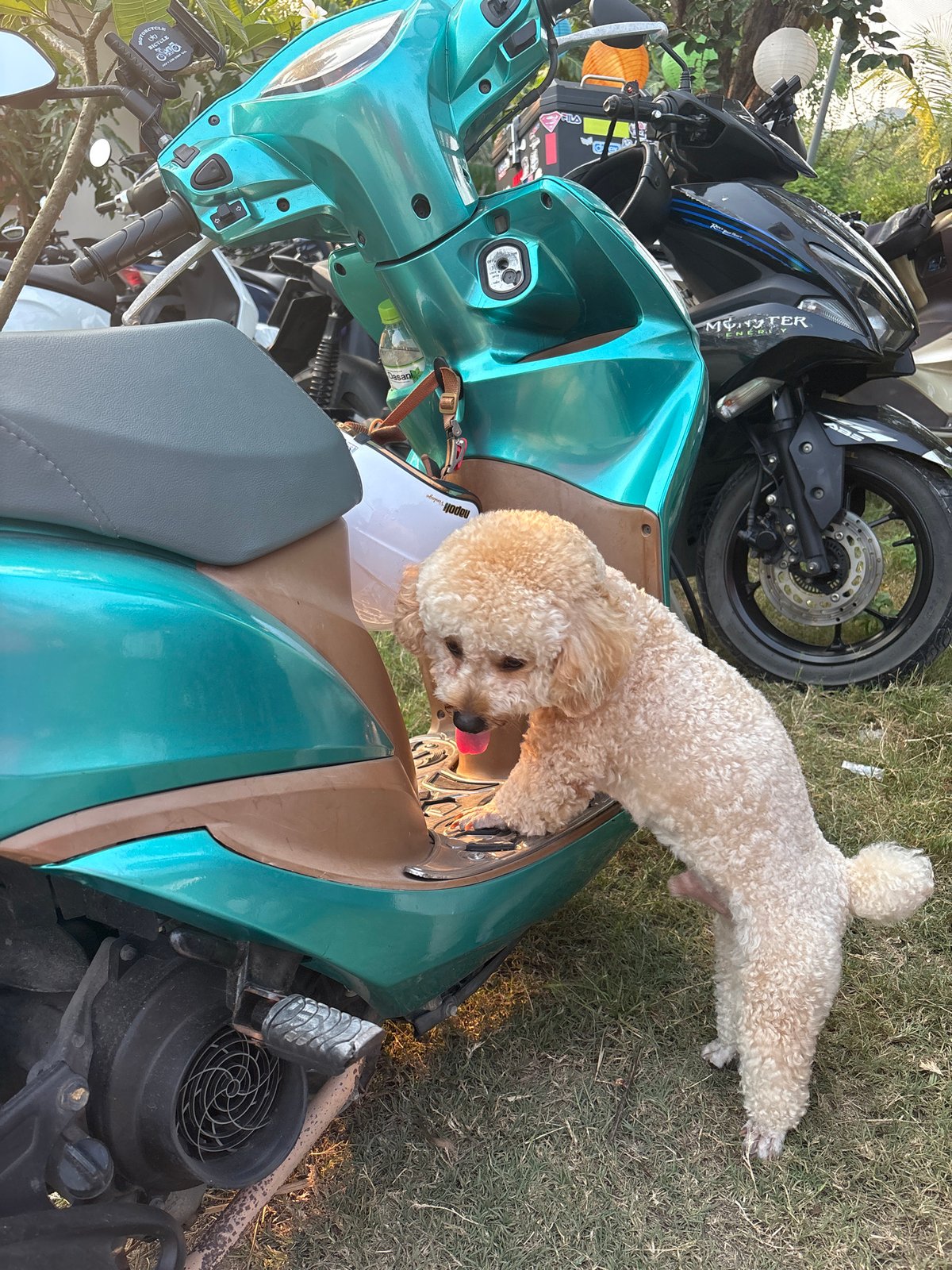 Daily life moments captured in Bắc Nha Trang, Vietnam