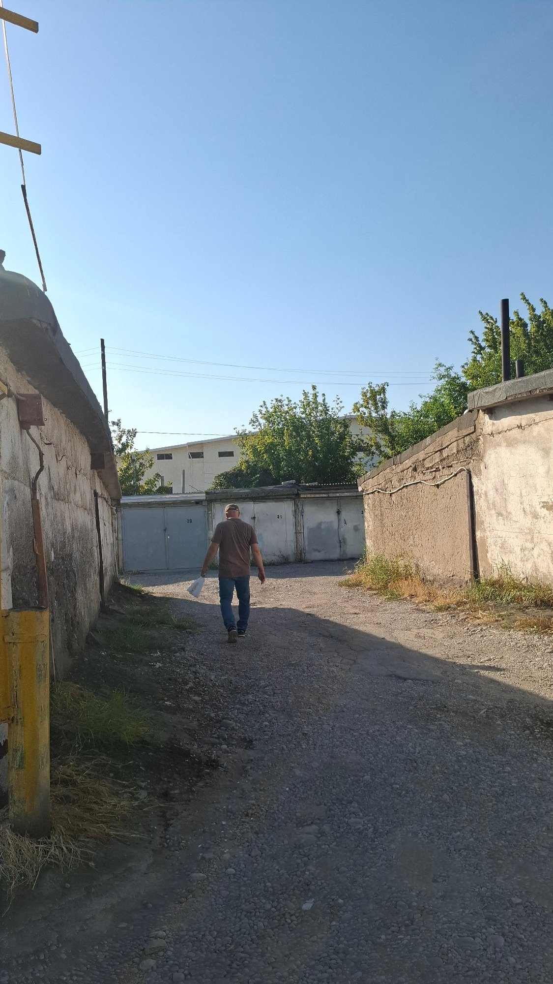 Shymkent streets midday: ordinary corners, blooms, and a camel