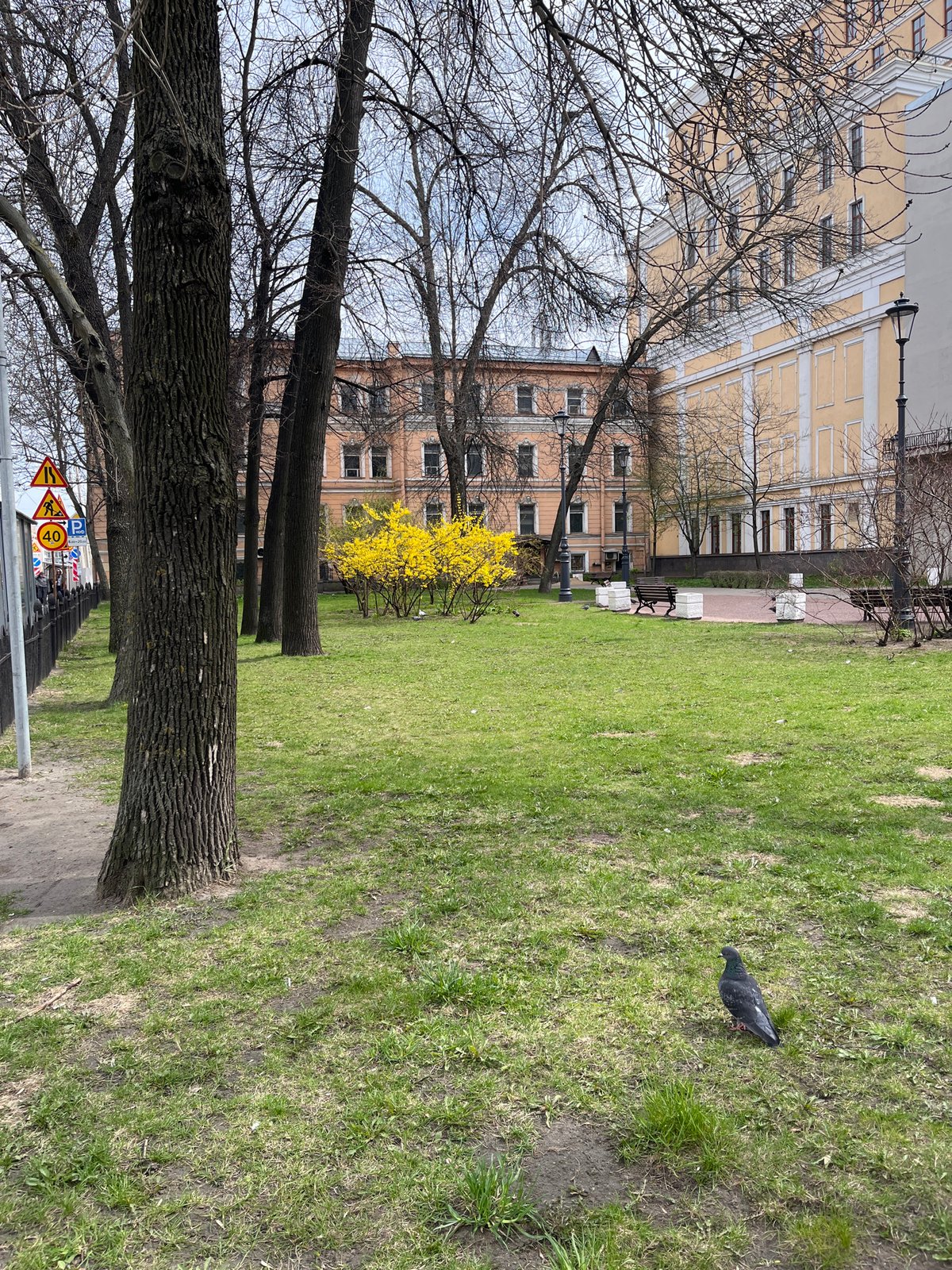 Street scenes captured in Saint Petersburg park area