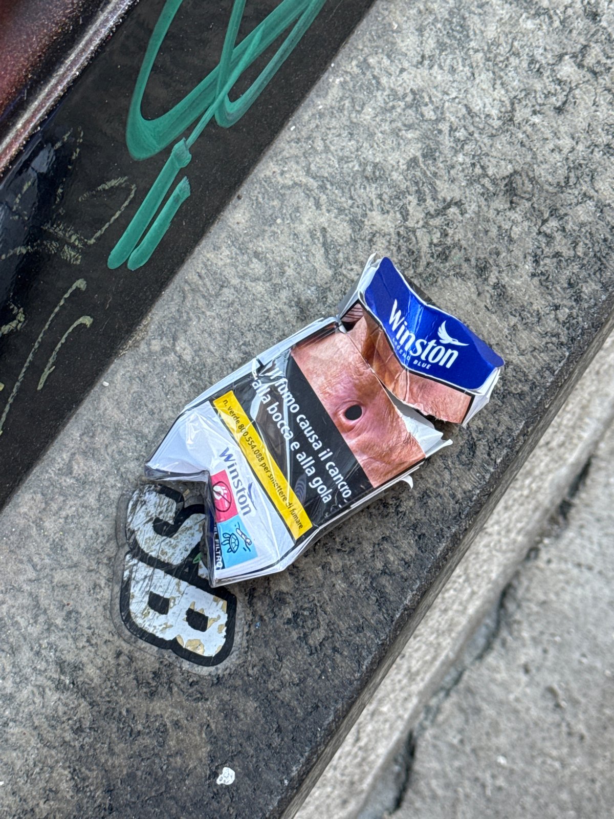 Milan street art and urban wildlife documented during morning walk