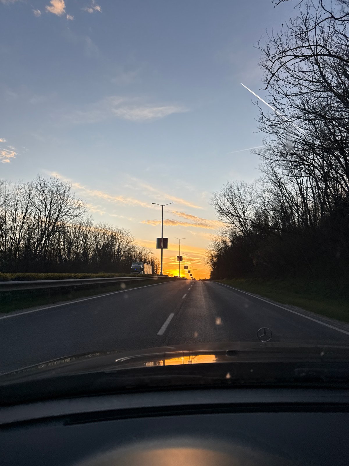 Tree-lined road captured from vehicle in Ledenik, Bulgaria