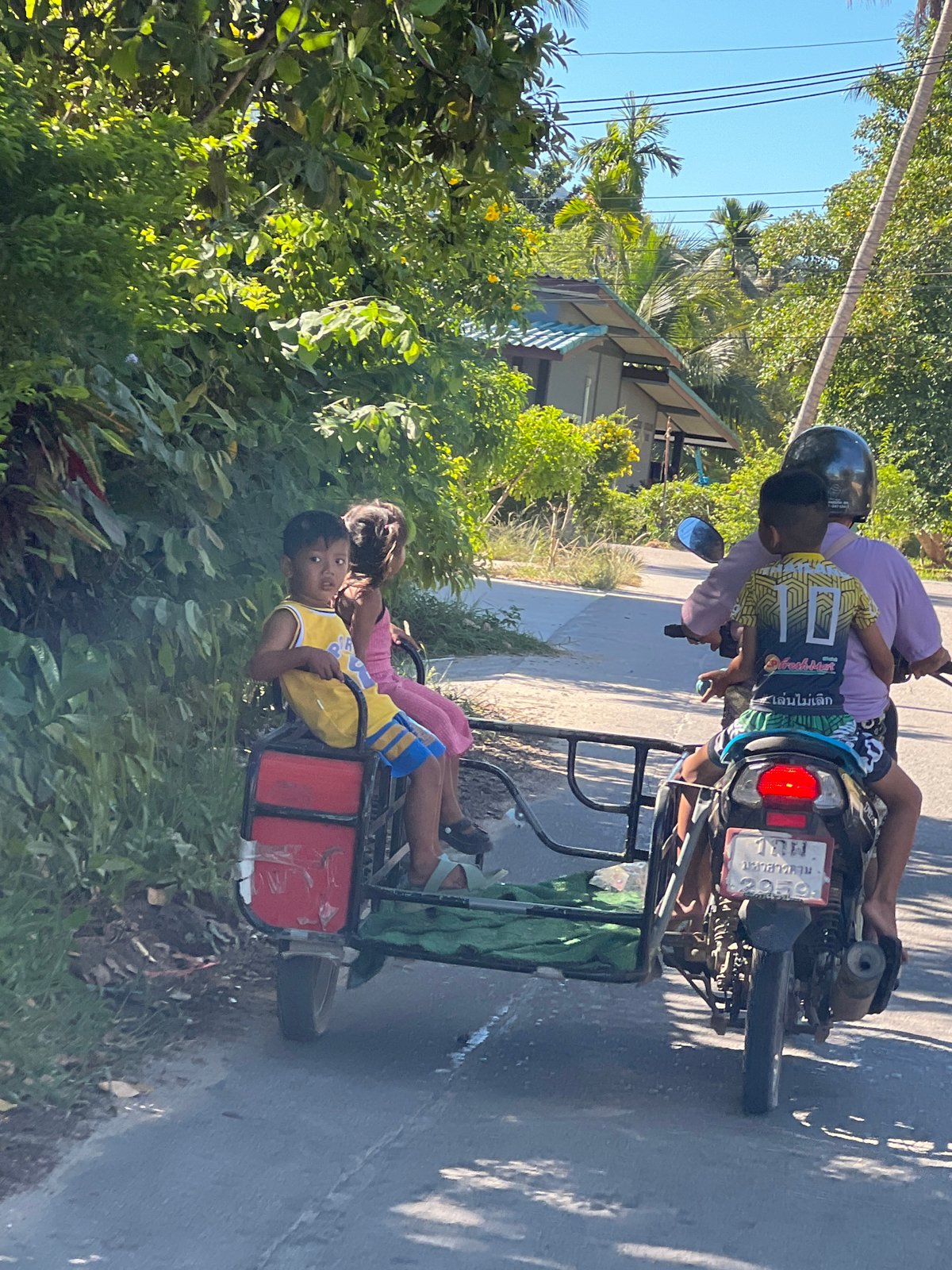 Rural Koh Phangan morning: sidecar ride and hanging green bananas