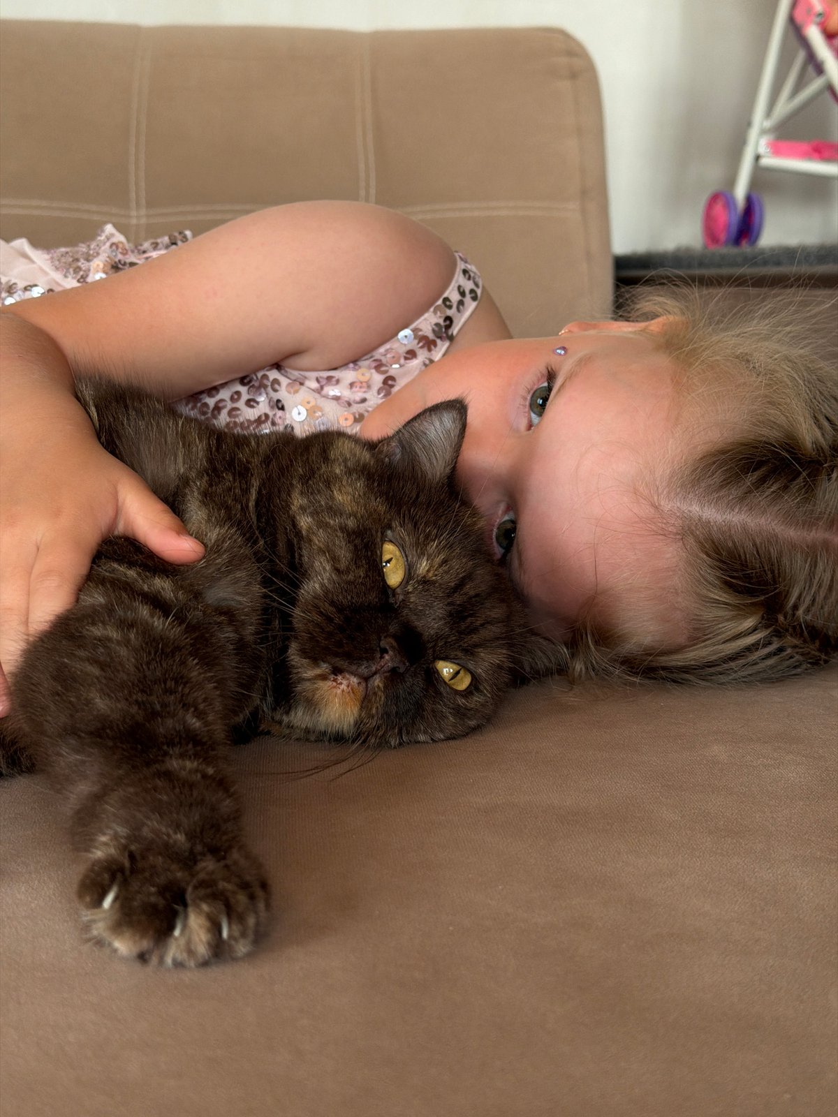 Morning playtime with cats in Chaikovsky home