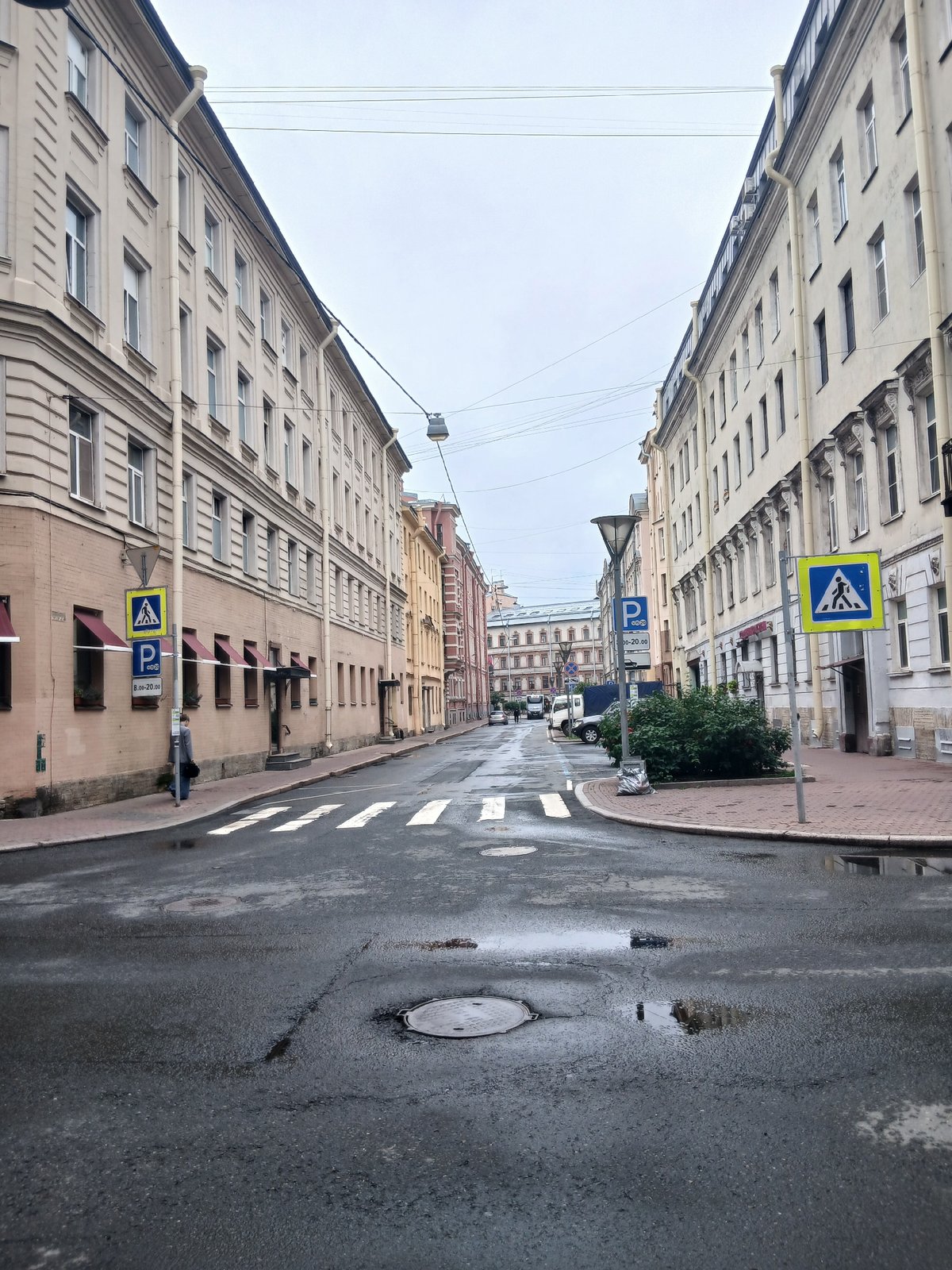 Wet streets and blooming flowers on a cloudy urban morning