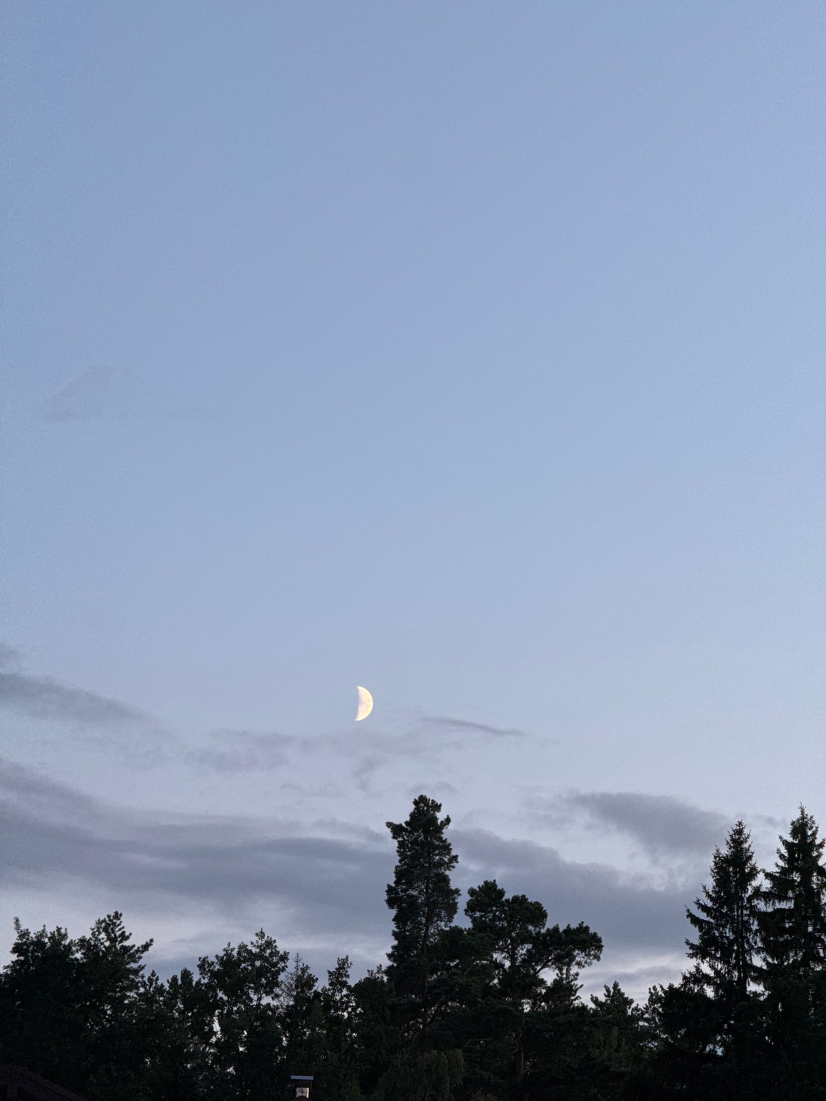 Crescent moon rises over a forested treeline in rural Belarus