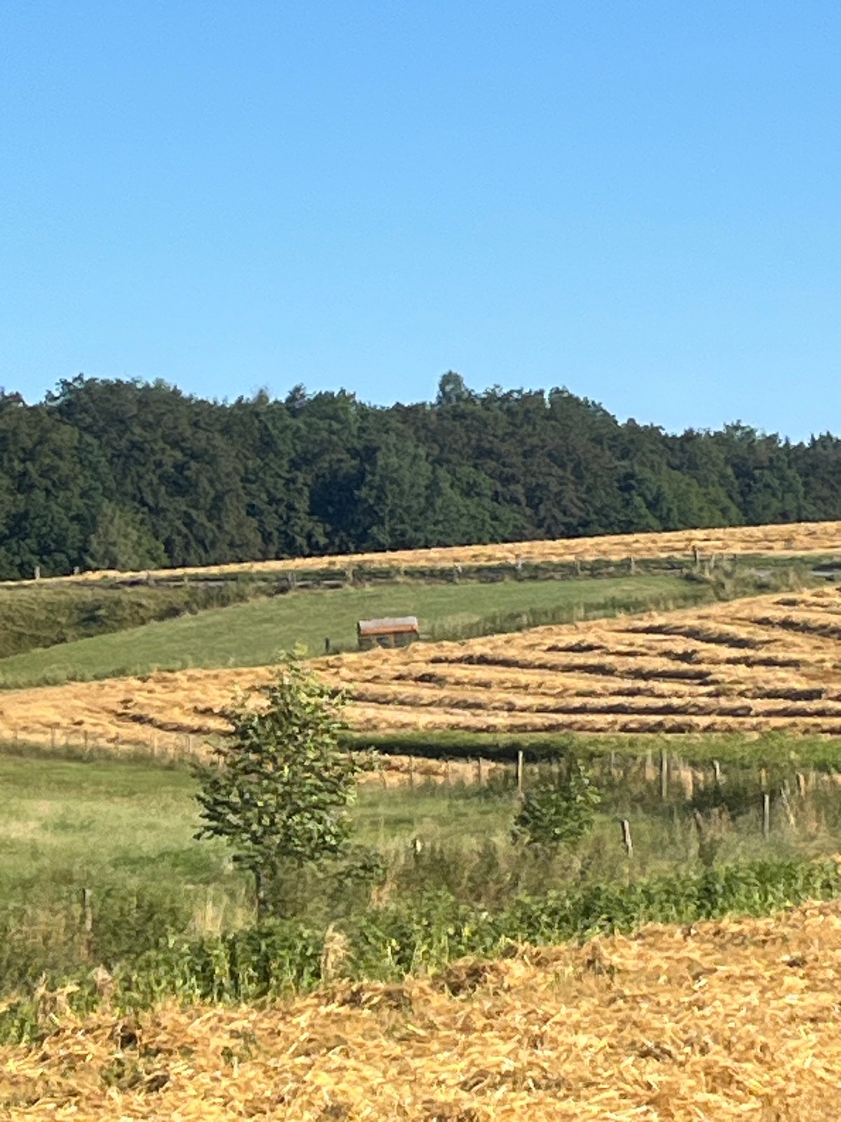Golden stubble fields after harvest, Wiera, Germany