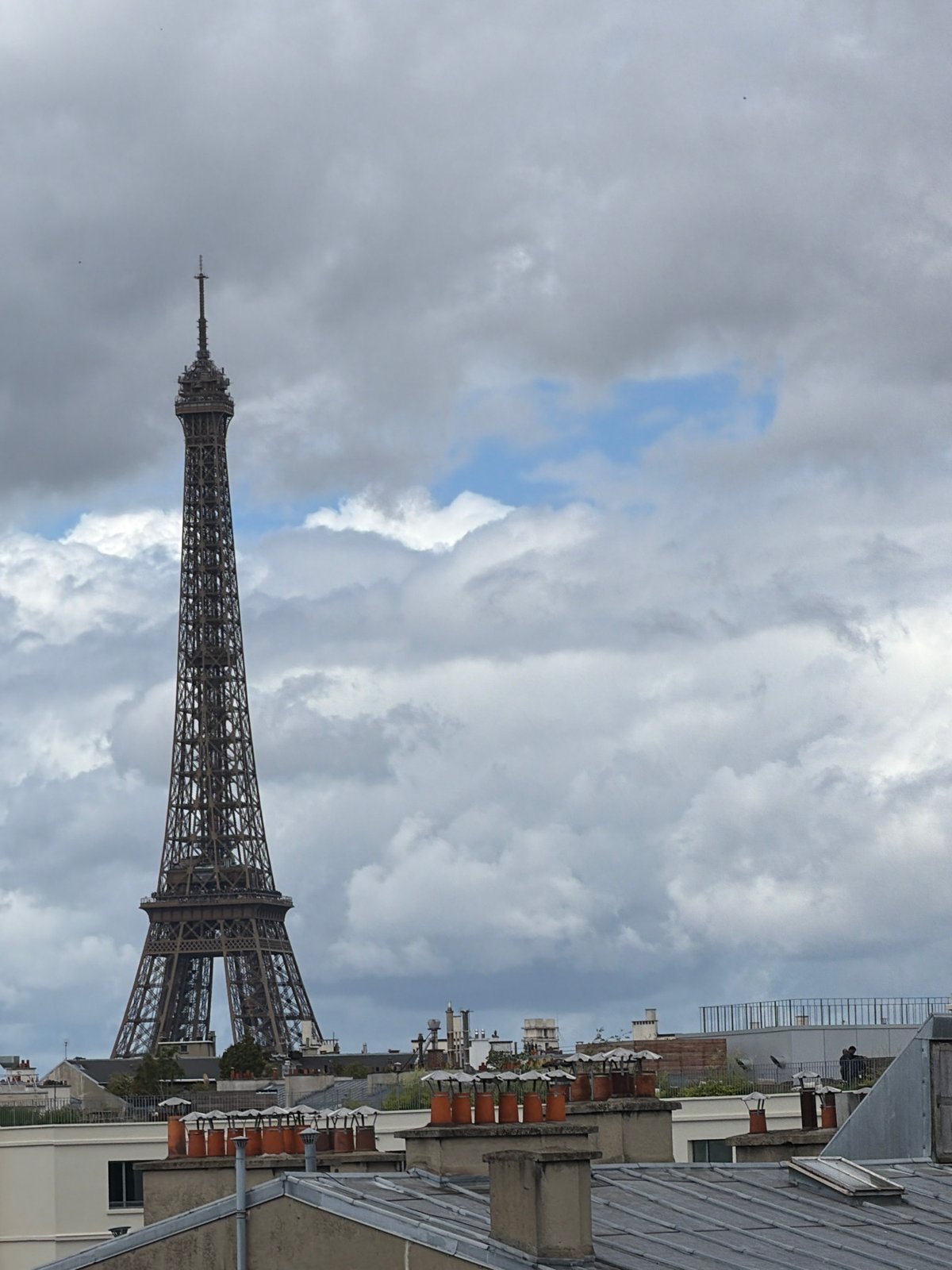 Tourist captures Paris landmarks and street dog during morning visit