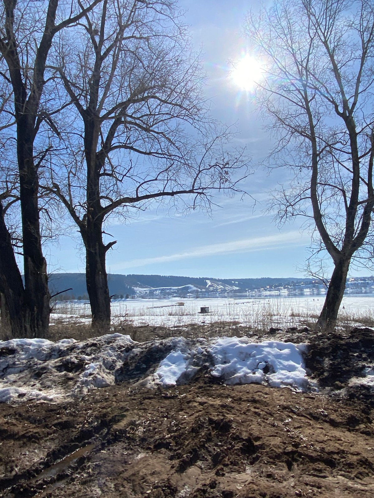 Winter morning scene captured in Noviy, Russia
