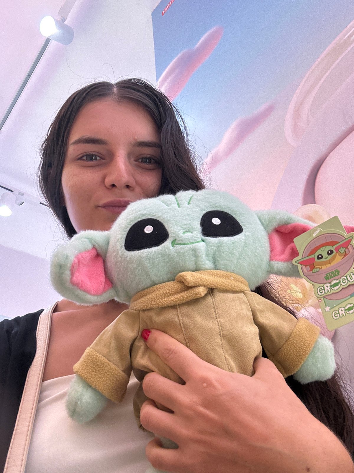 Browsing a packed plush toy store in Phu Thuy, Vietnam