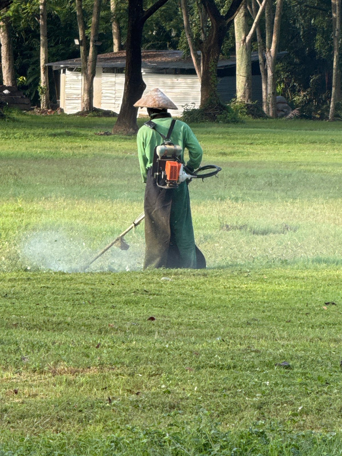 Grounds maintenance work and resting dog observed in Kuta Selatan