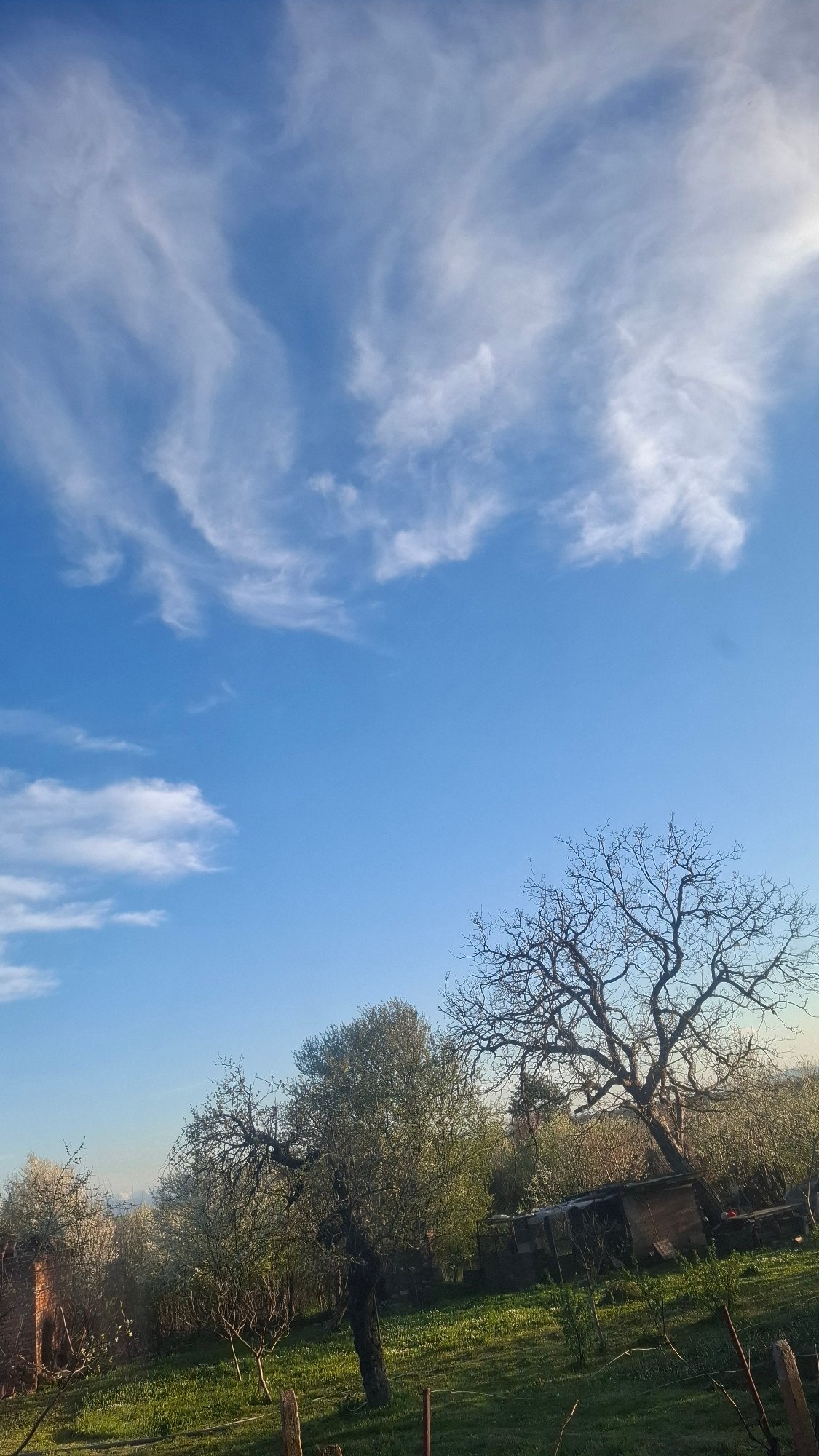Spring landscape and teddy bear observed in rural area