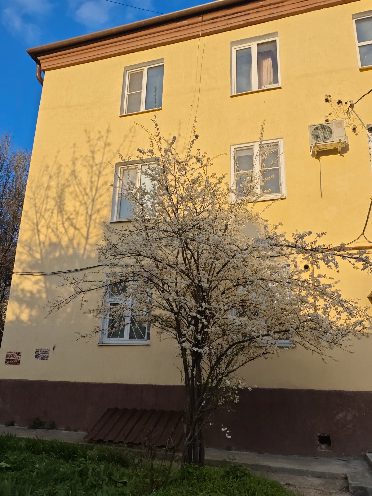 Yellow building photographed amid spring blooms in Pyatigorsk