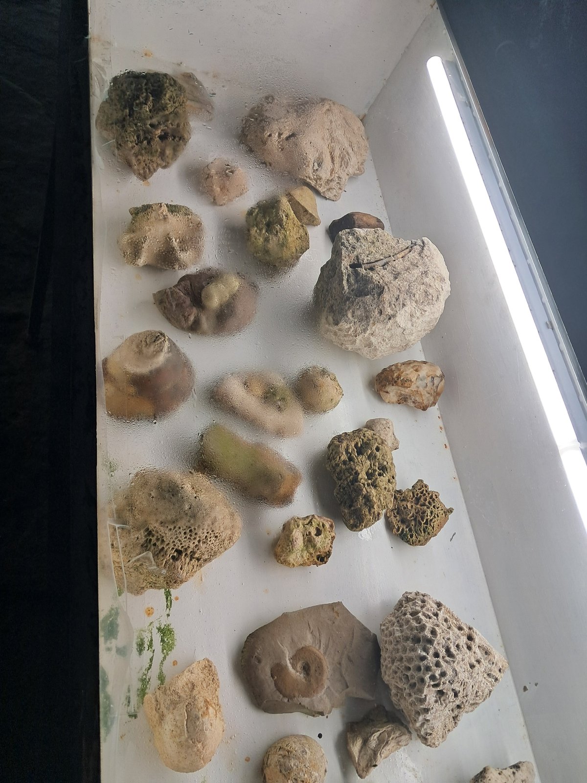 Visitor documents fossils and landscapes in Bulgarian mountain region