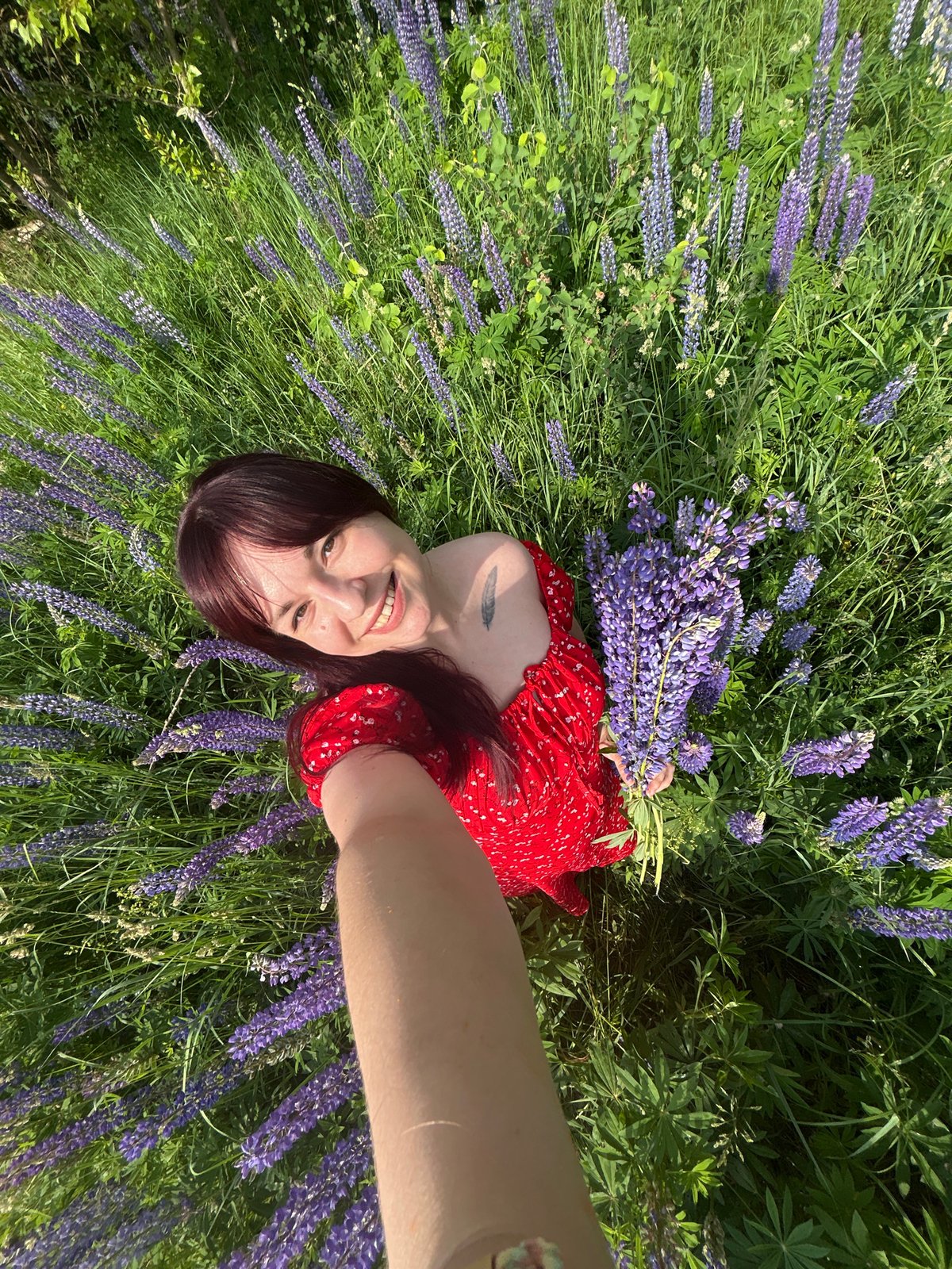 Lupine flower picking trip in Russian countryside