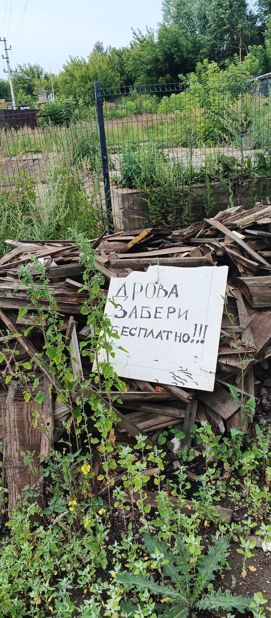 Bus ride in Izhevsk, free firewood sign on the street