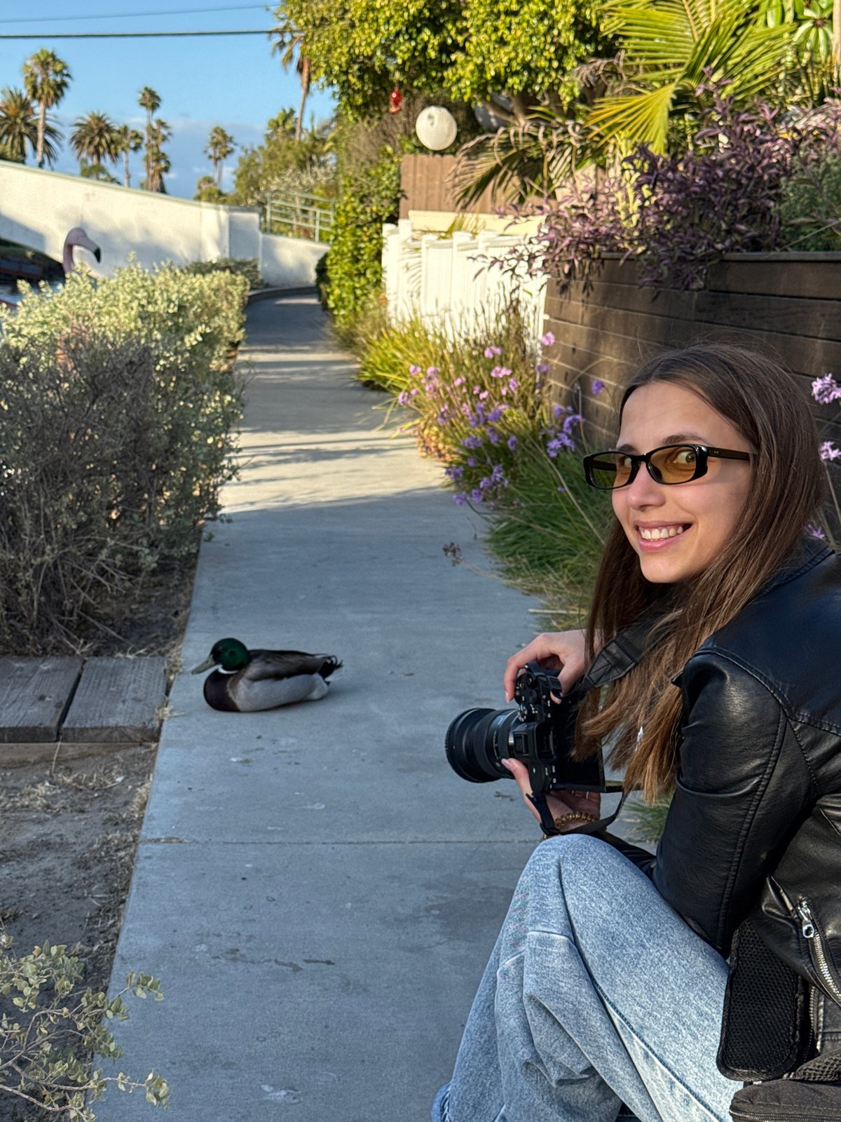 Photographer captures mallard duck near LA waterfront dock