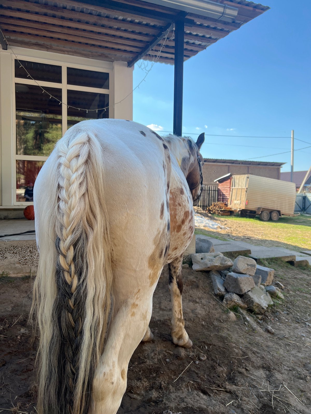 Horses and riders documented at Chaikovsky stable facility