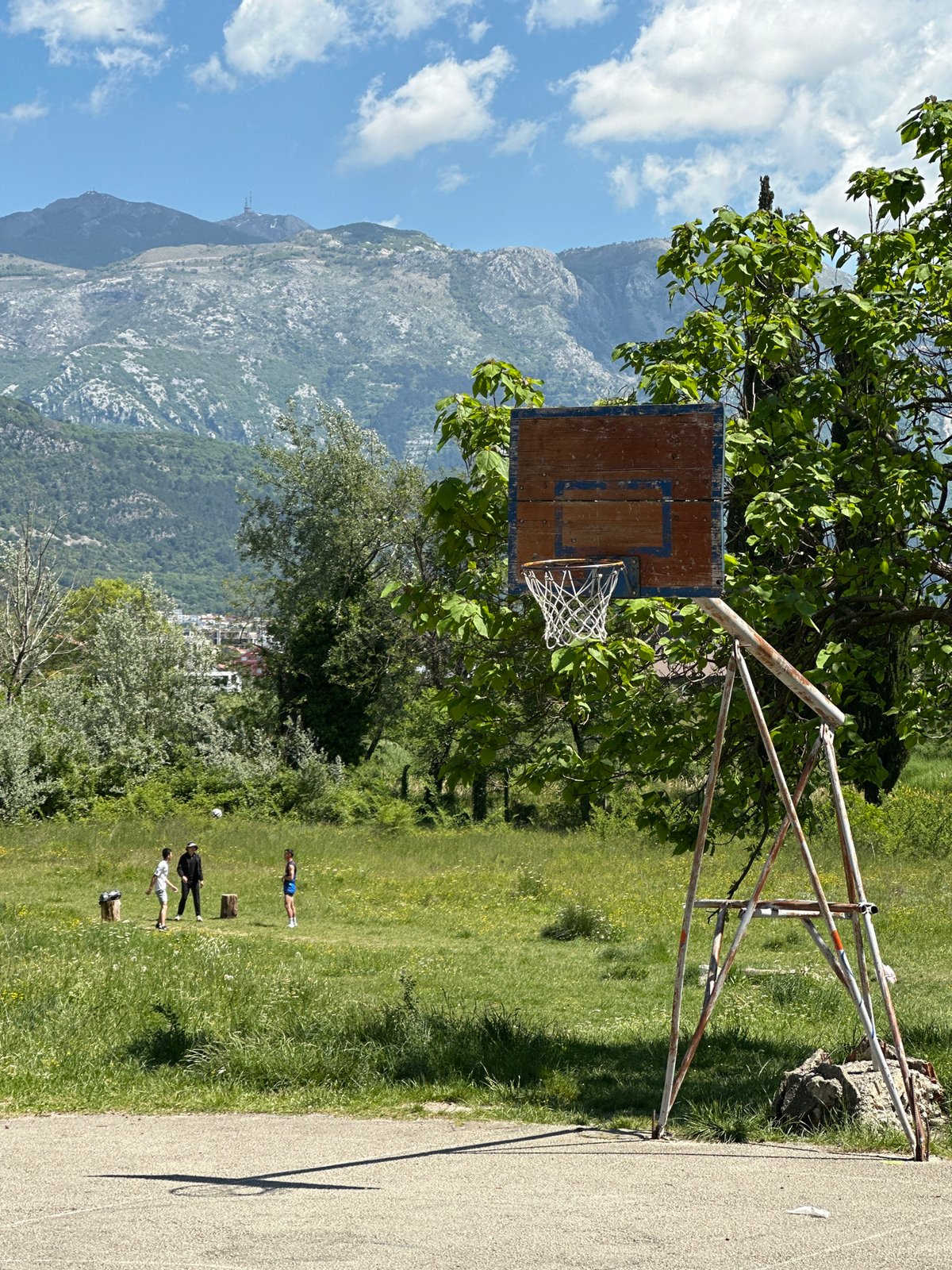 Basketball hoop spotted in grassy outdoor area in Tivat