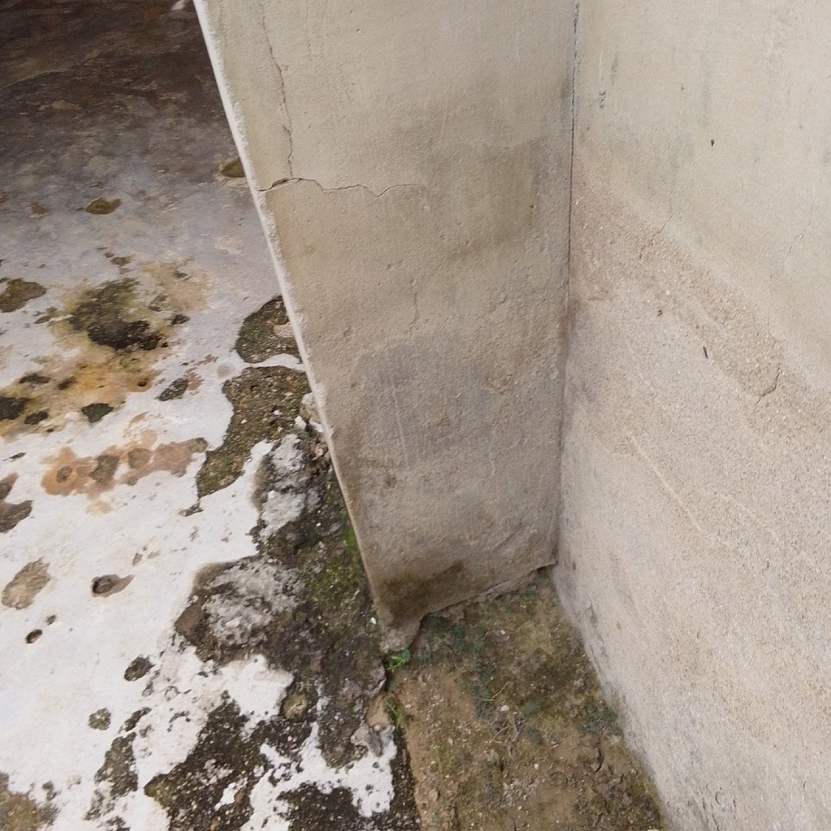 Close-up survey of a Jalingo compound's infrastructure and surroundings