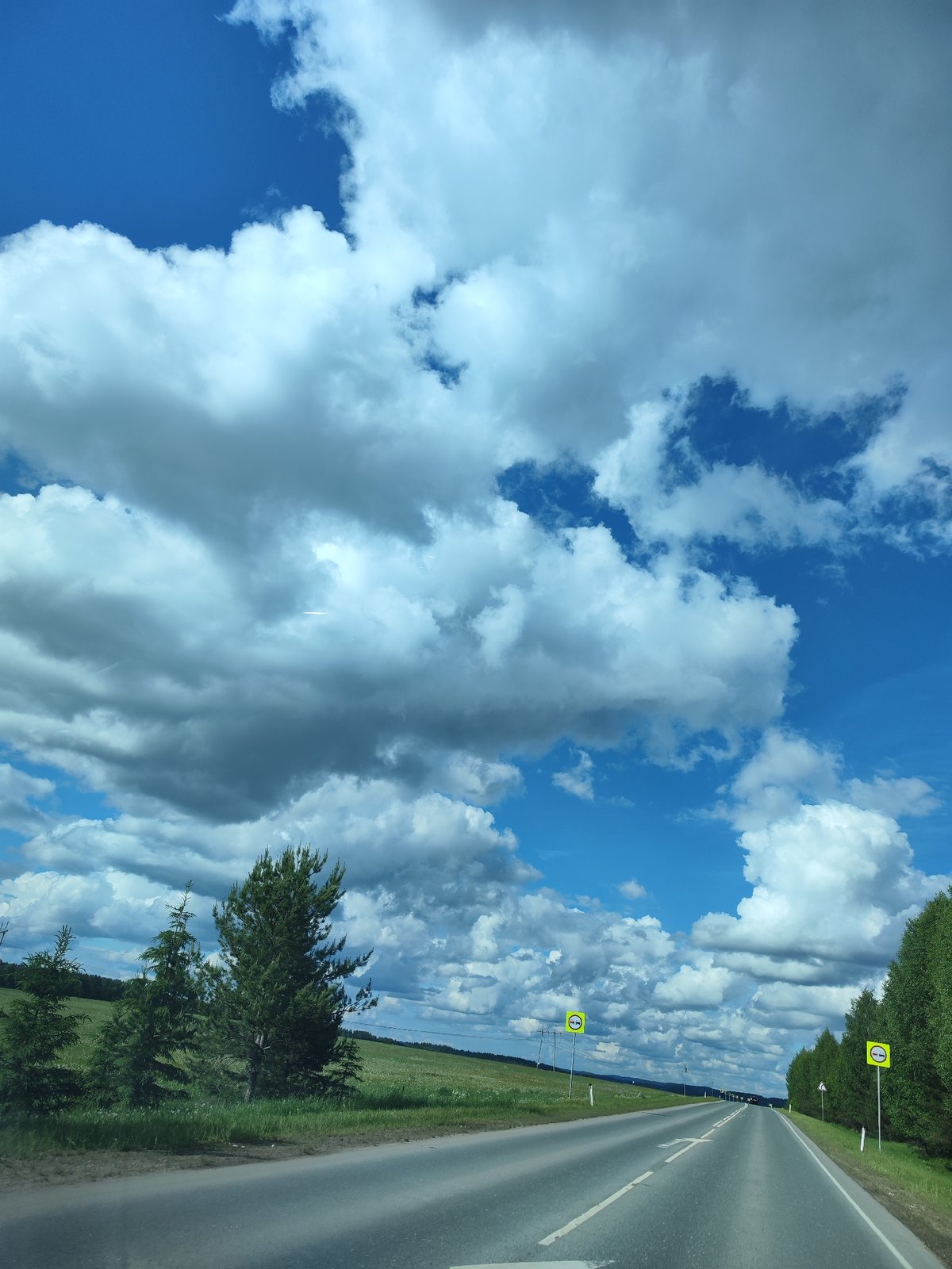 Rural road observed in Сосново amid green landscape