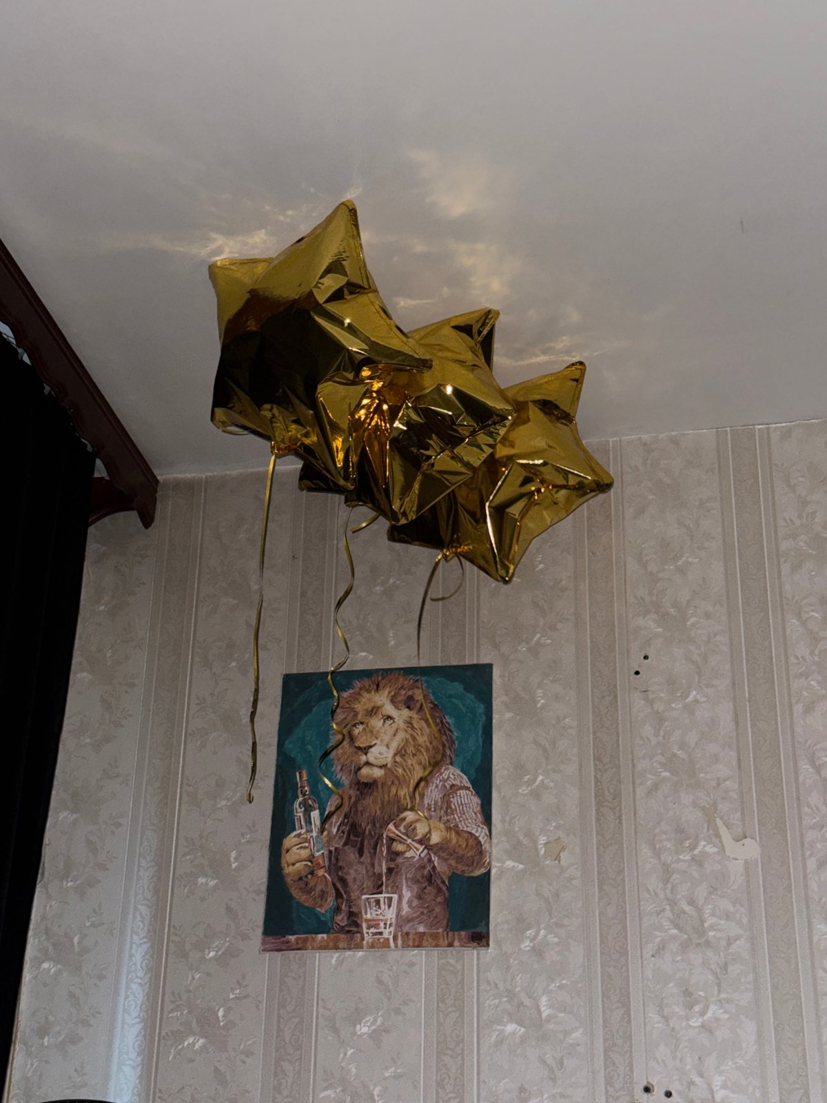 Home celebration with balloons and pet dog in Khimki