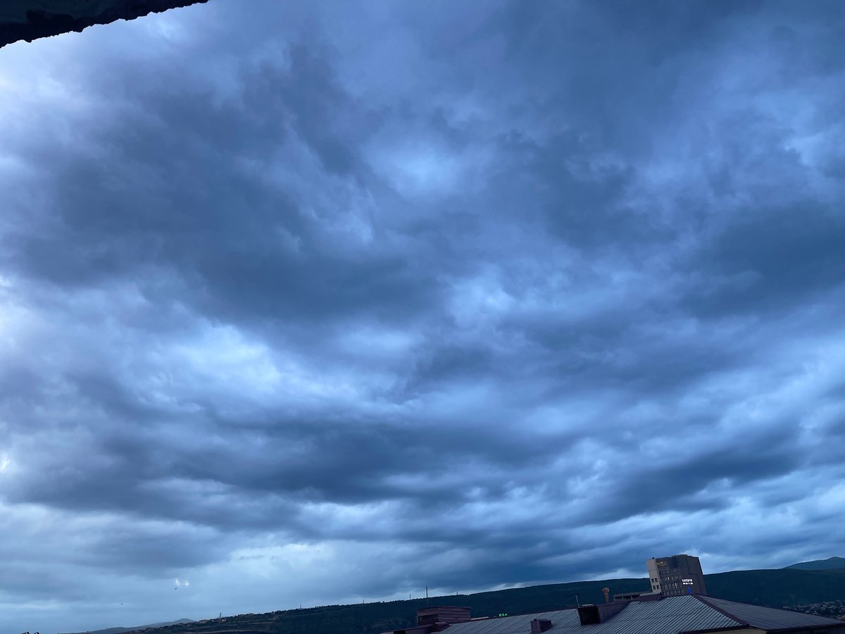 Tbilisi resident documents stormy evening with dog, art collections