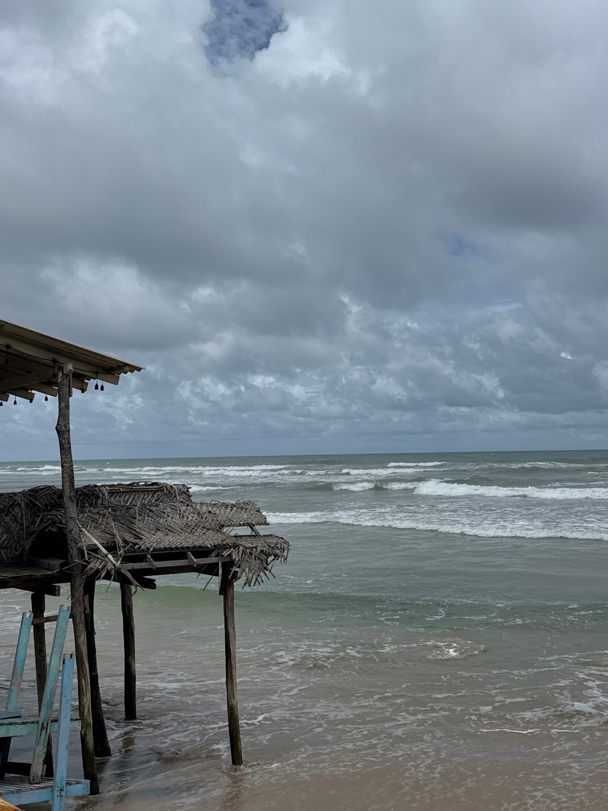 Lazy beach morning in Ahangama: shells, a dog, and coastal hangout vibes