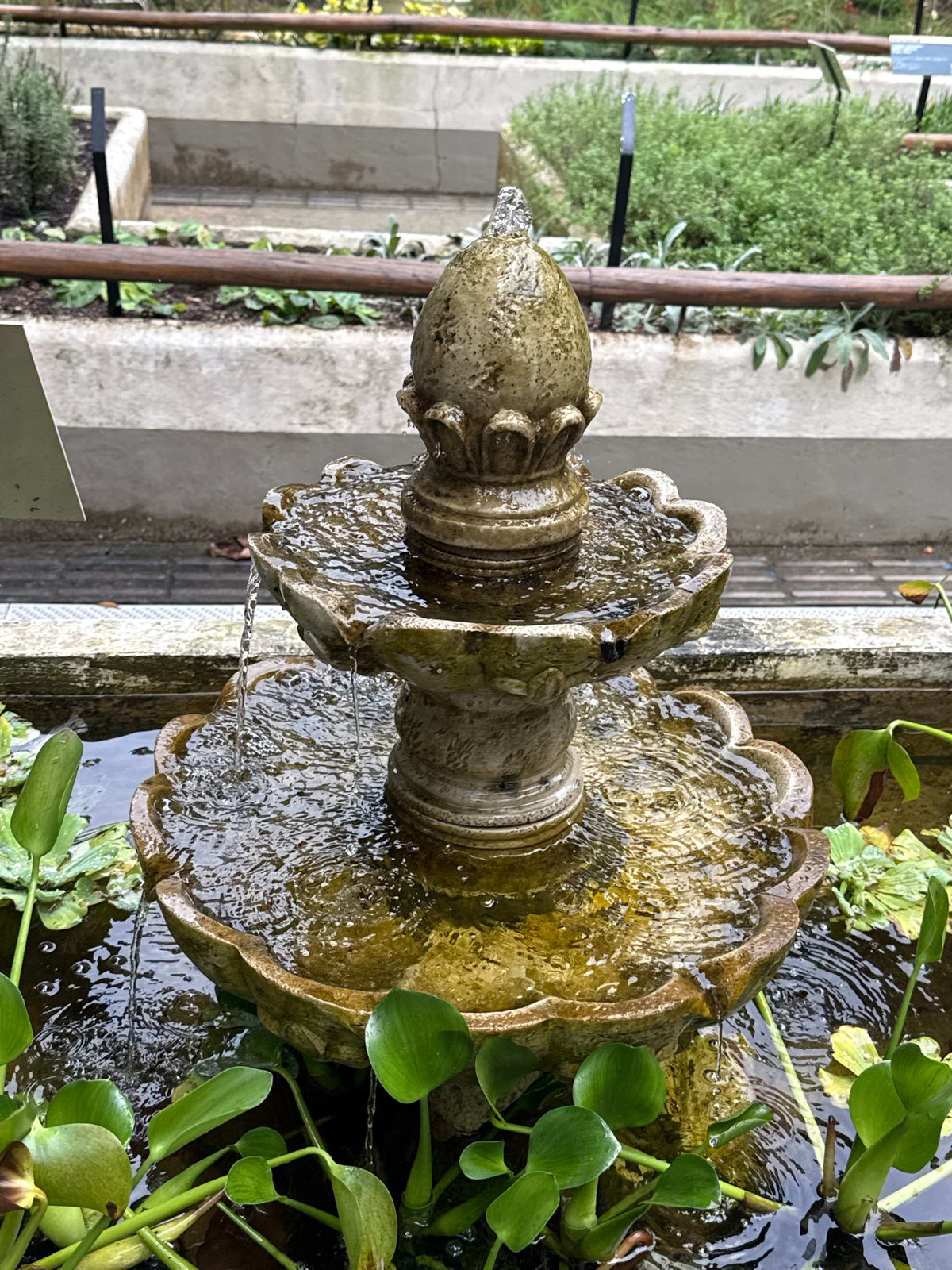 Botanical garden tour documented in Rio de Janeiro