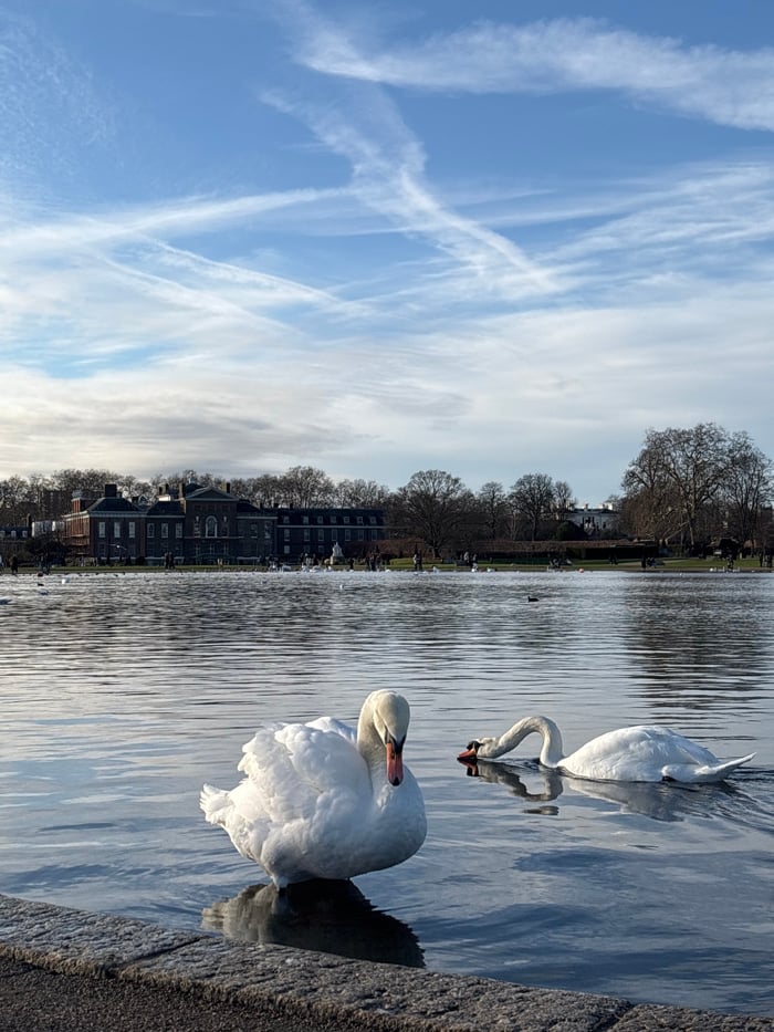 Daytime scene captured at Kensington Gardens Round Pond