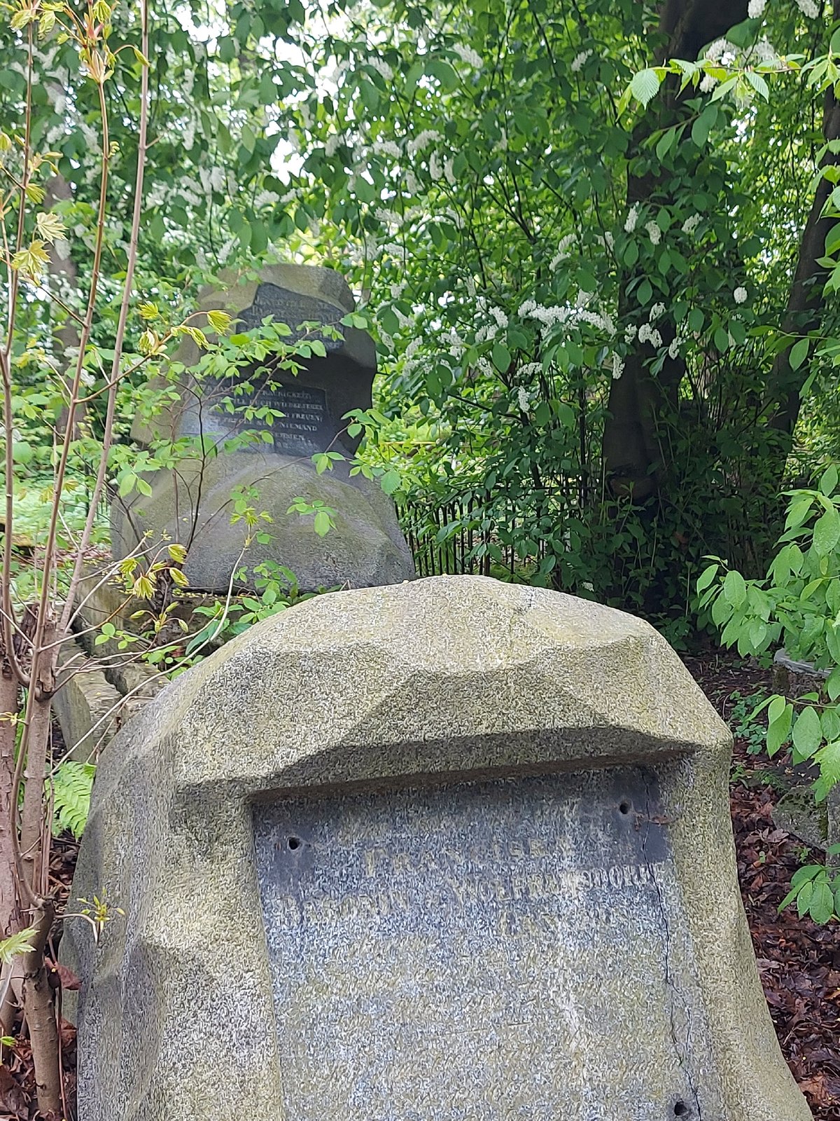 Morning cemetery walk documented in Saint Petersburg's Tikhvin Cemetery