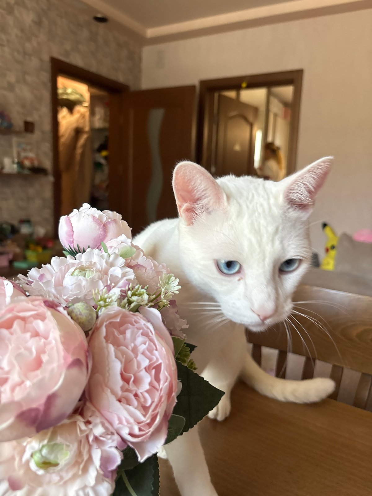 White cat poses behind flower bouquet in Ruse, Bulgaria