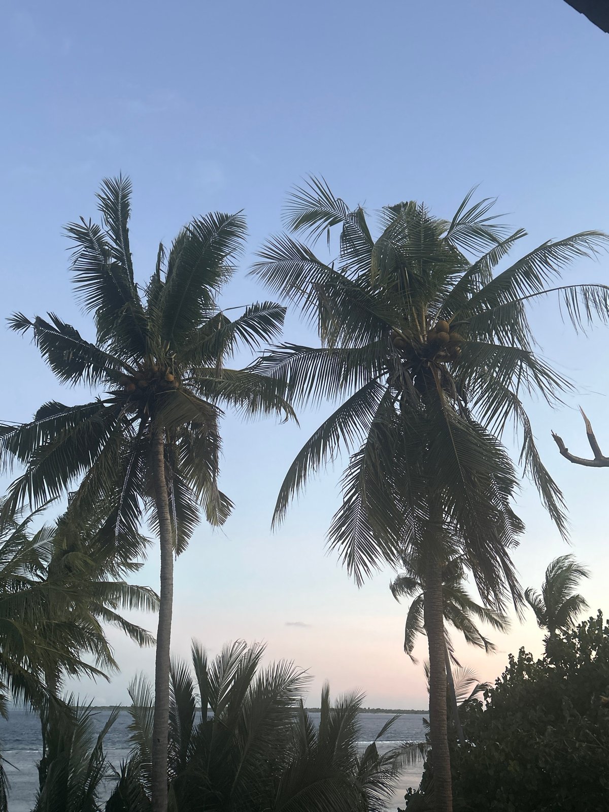 Tropical beach at Ara from afternoon into night