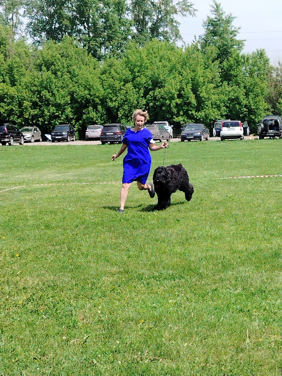 Dog show held in Kiselyovsk Russia morning hours