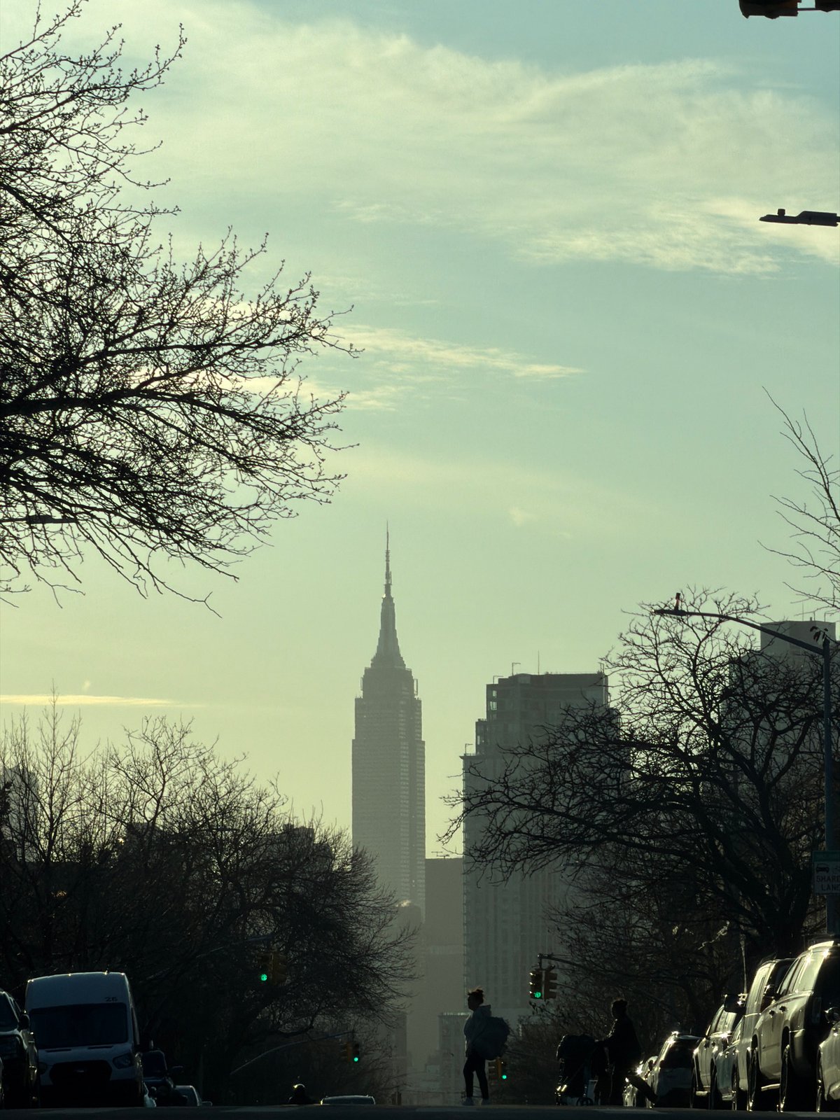 Manhattan skyline view captures Empire State Building through bare trees