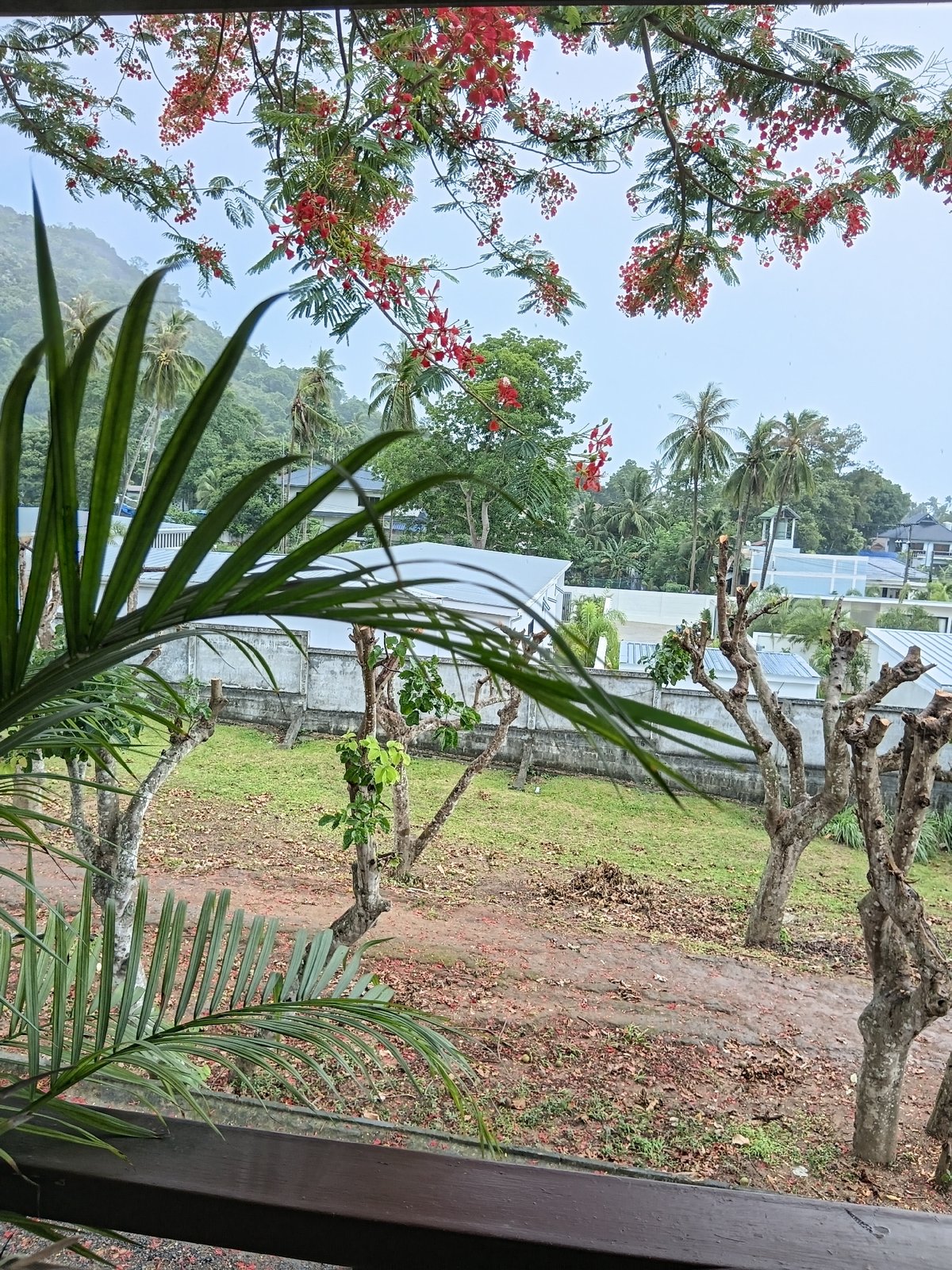 Quiet morning around a Ko Samui guesthouse, scooter and all