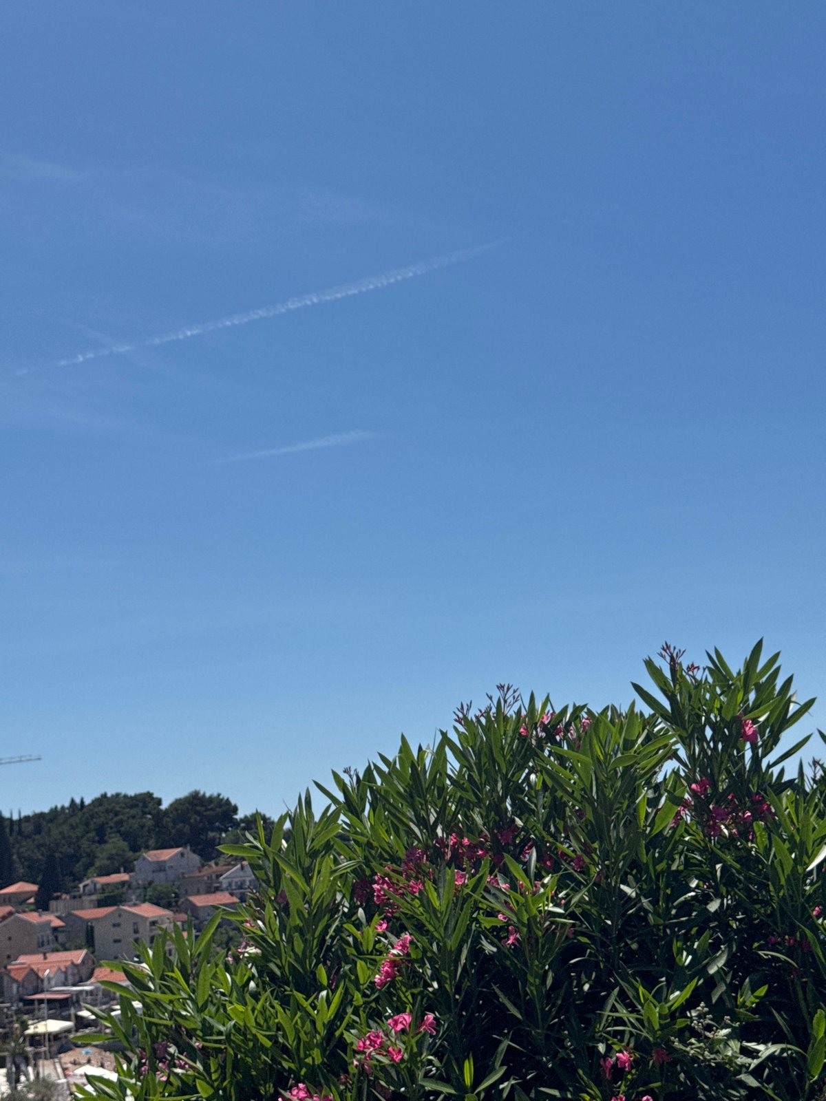 Clear skies and spring blooms observed in Montenegro