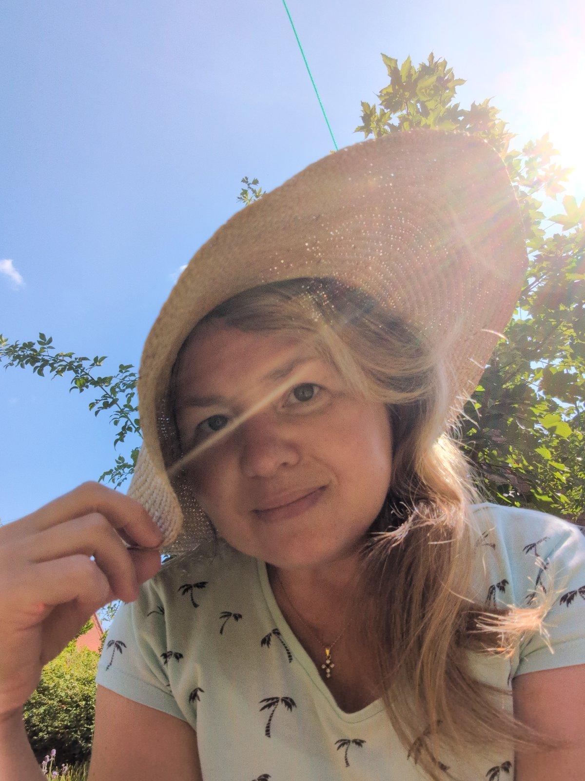 Summer afternoon around Telford: gardens, signs, and a local garage