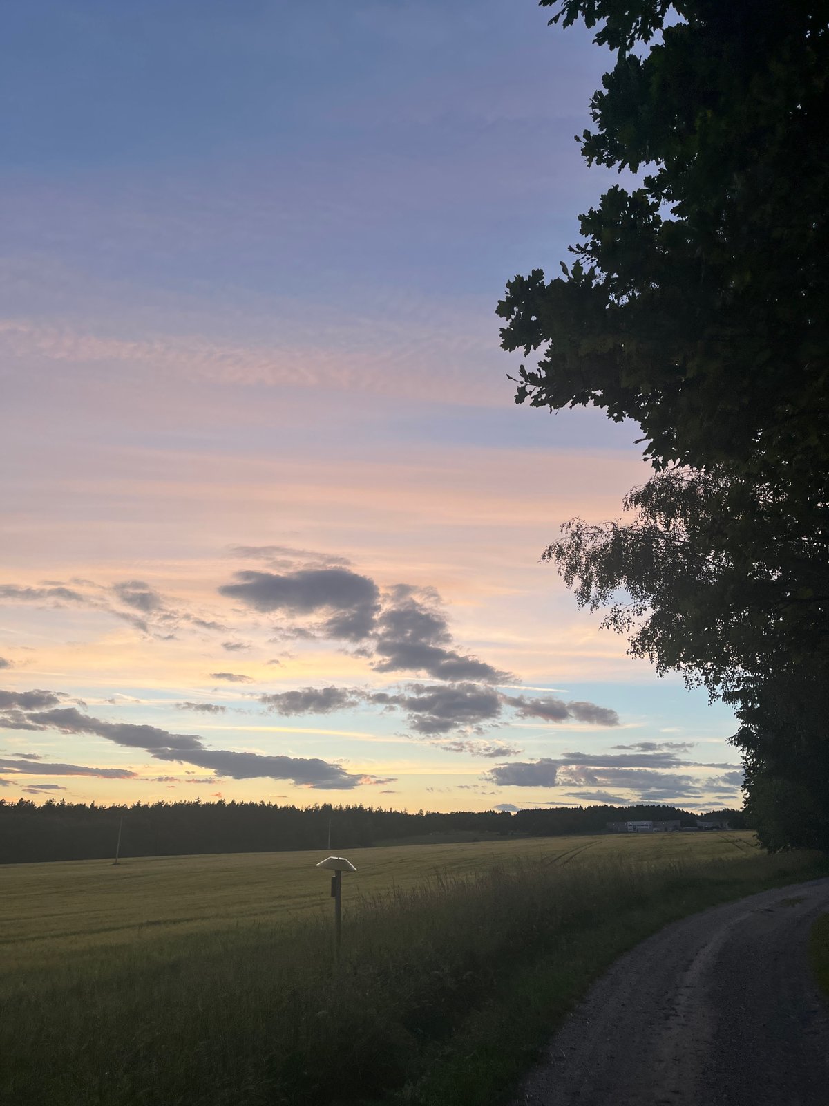 Rural sunset scene captured along dirt road through fields