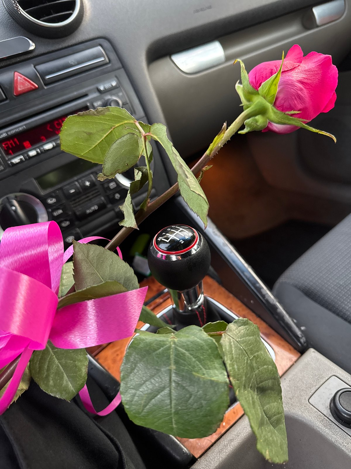 Pink rose placed in car console, Sofia