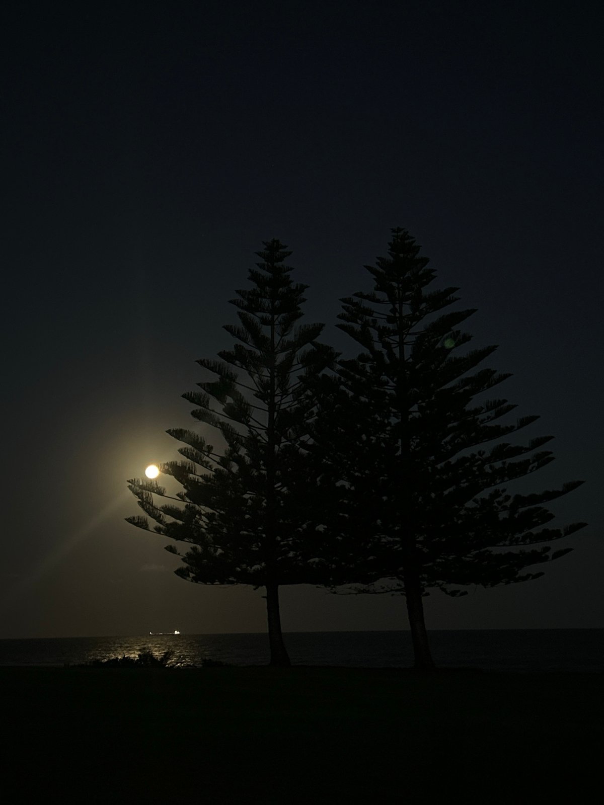 Morning memories captured around Bulli Beach and construction site
