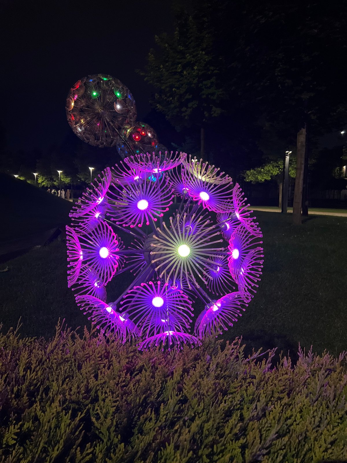 Illuminated dandelion sculptures light up Krasnodar park walkways