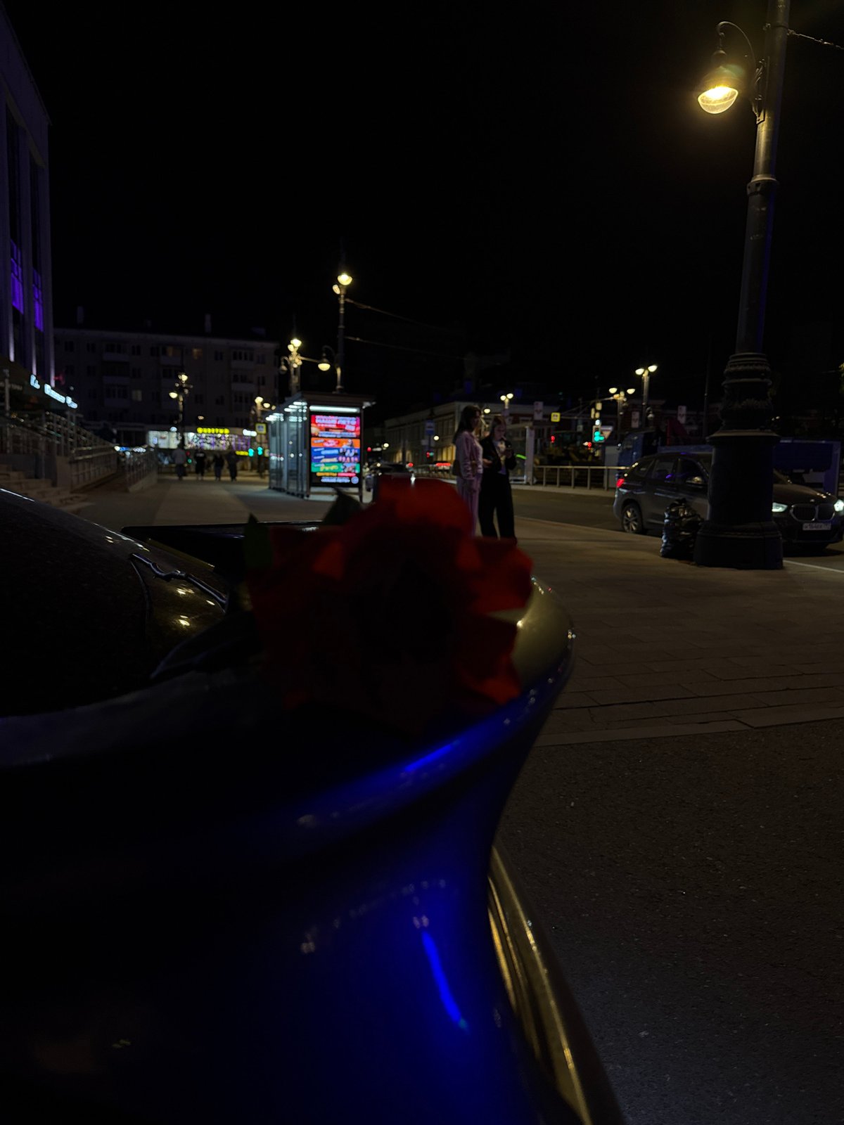 Nighttime drive through Perm captured with rose in frame