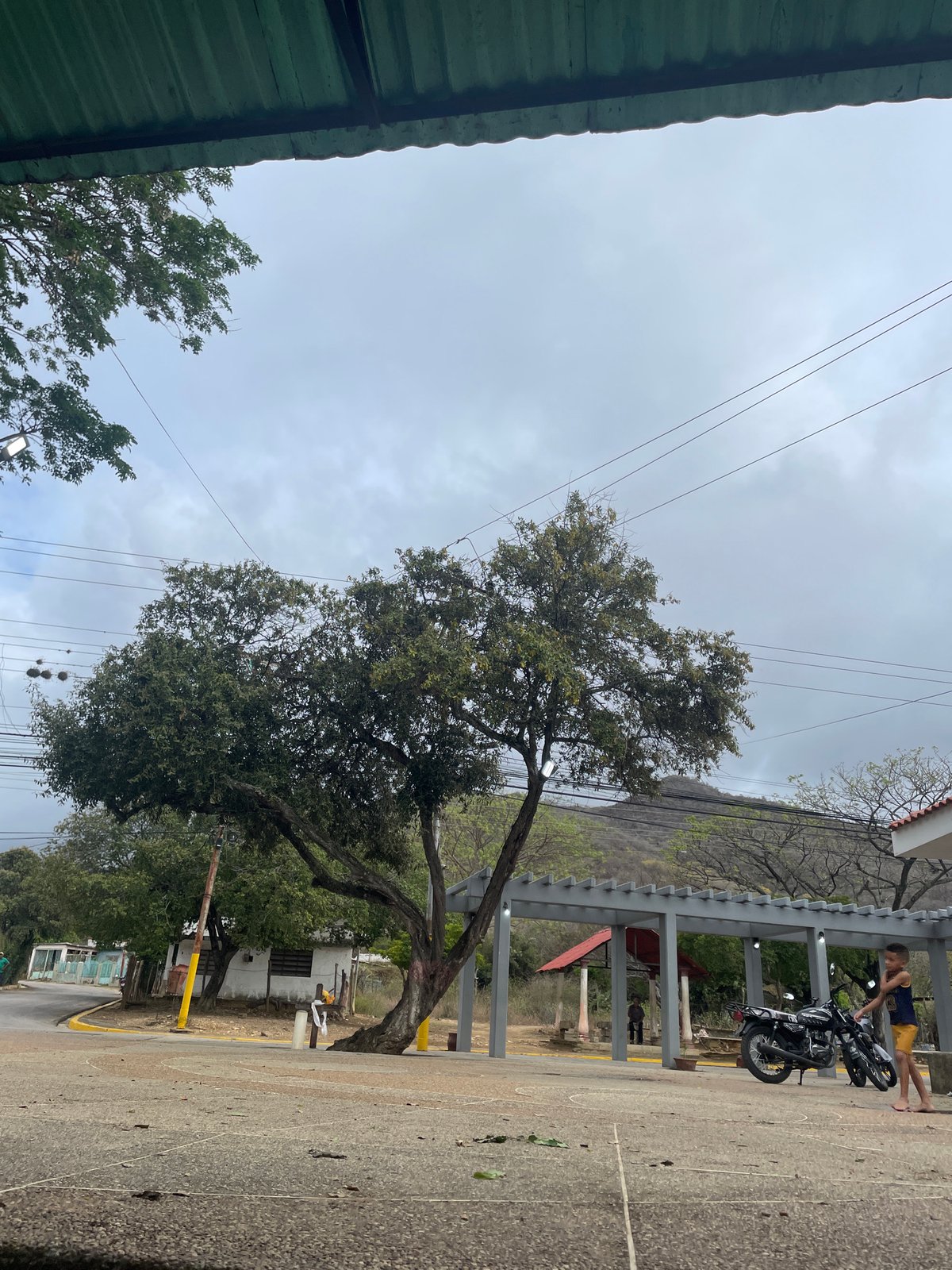 Evening documentation session captures La Tagua street scenes, text overlays