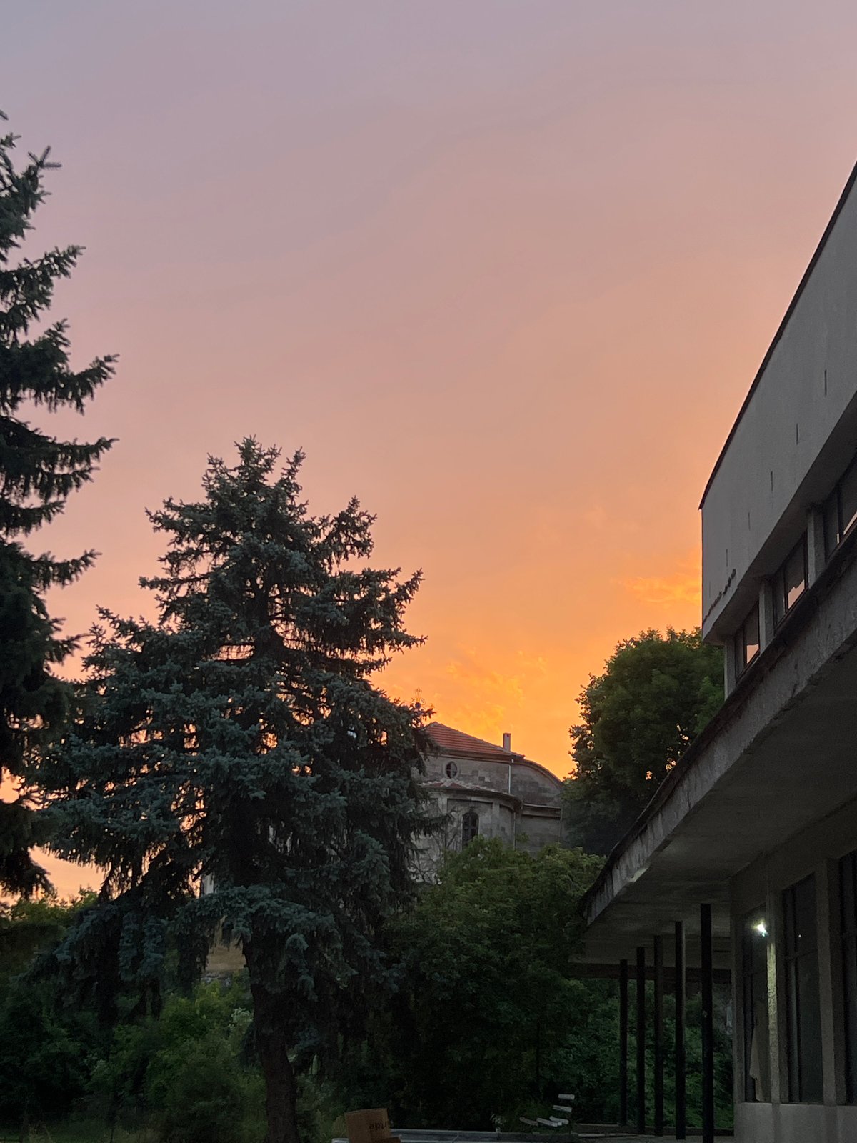 Evening moments captured across unknown locations during sunset hour
