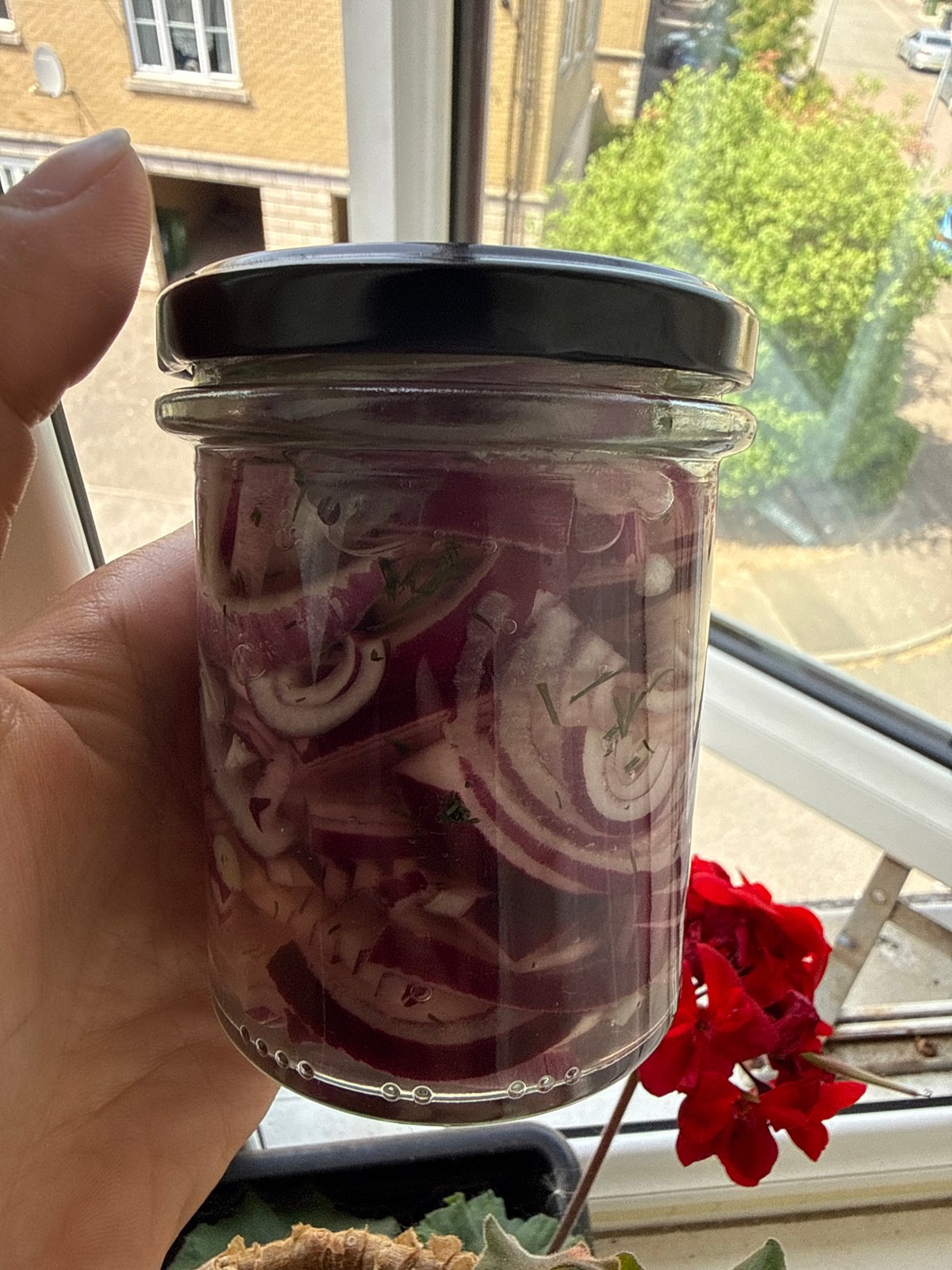 Person displays pickled onions jar near window in Great Yarmouth