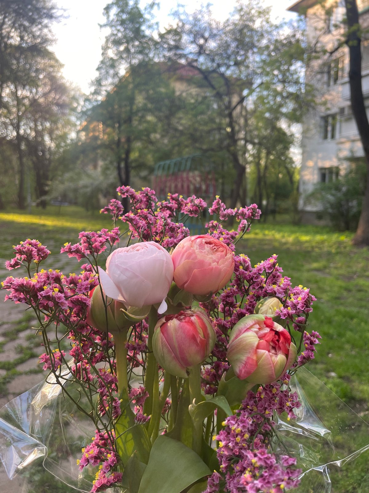 Vibrant tulip bouquet photographed in Sofia, Bulgaria