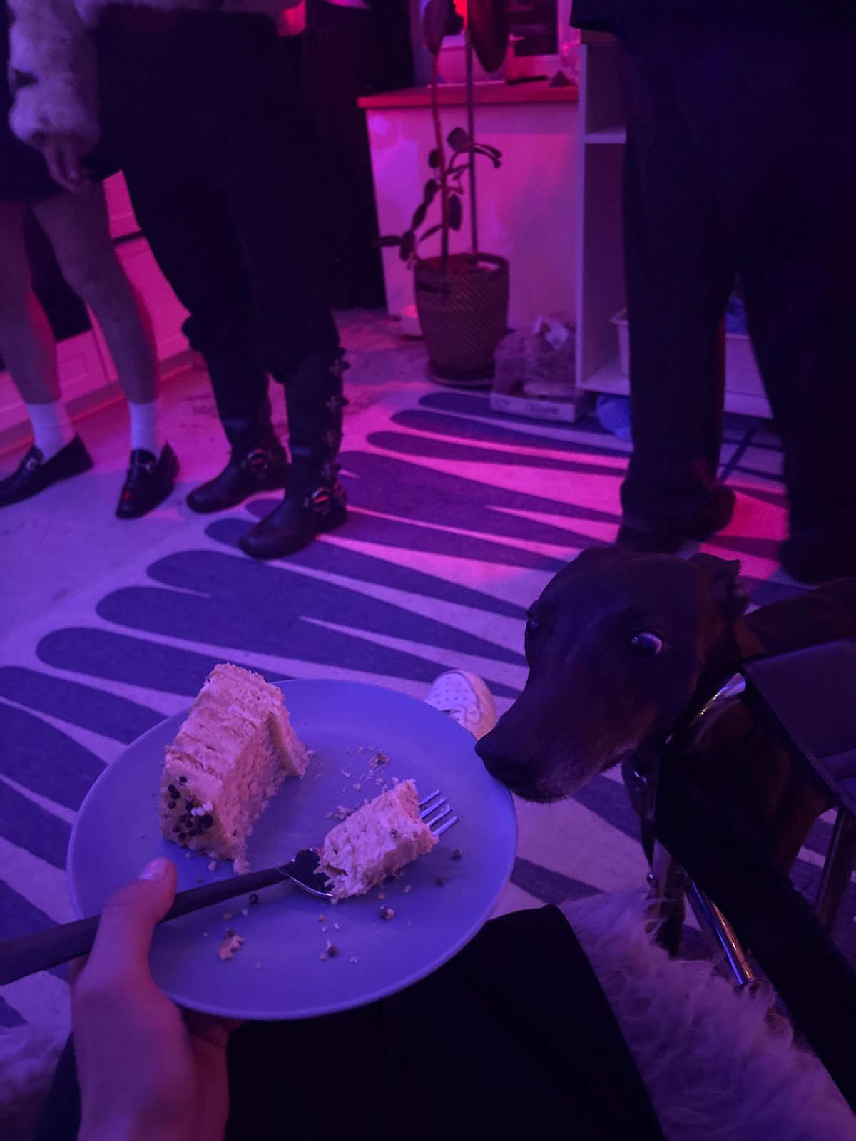 Indoor gatherings with colored lighting documented in Moscow