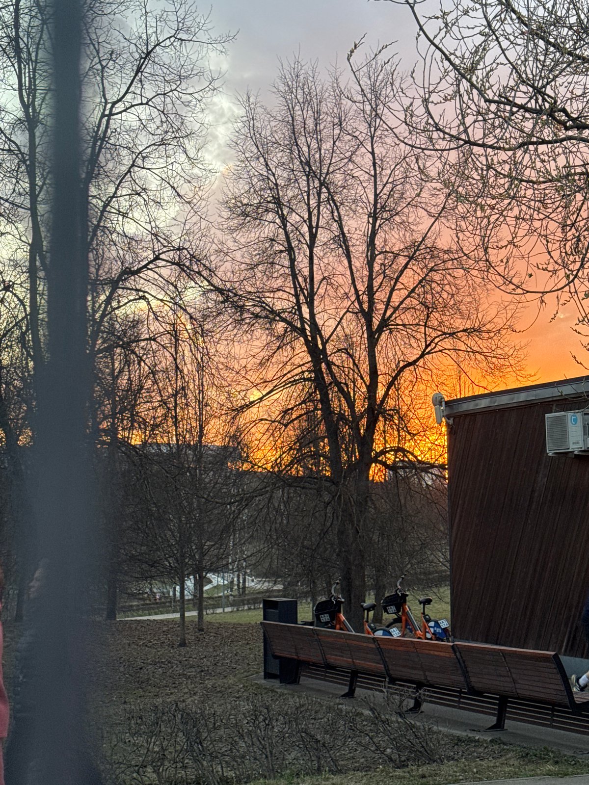 Moscow park scene captured with bare trees, local architecture
