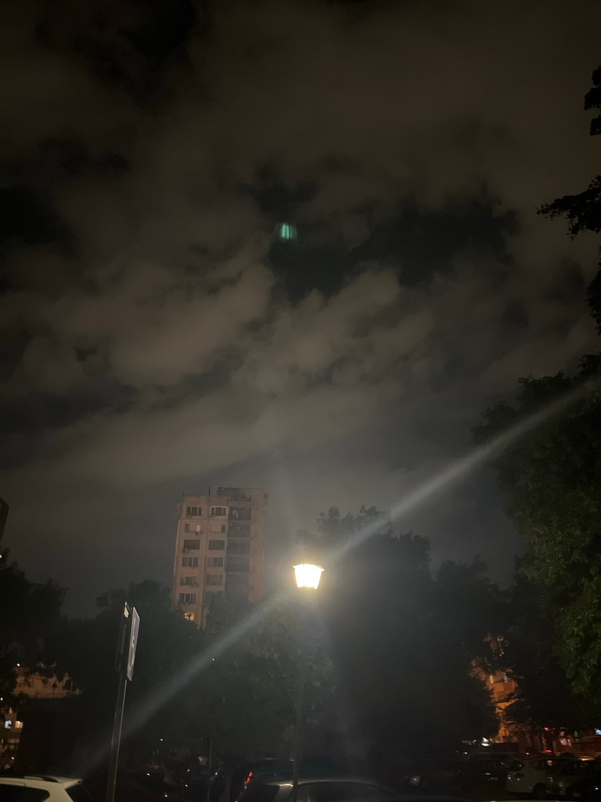 Rainy night in Plovdiv: car rides, a dog, and dessert